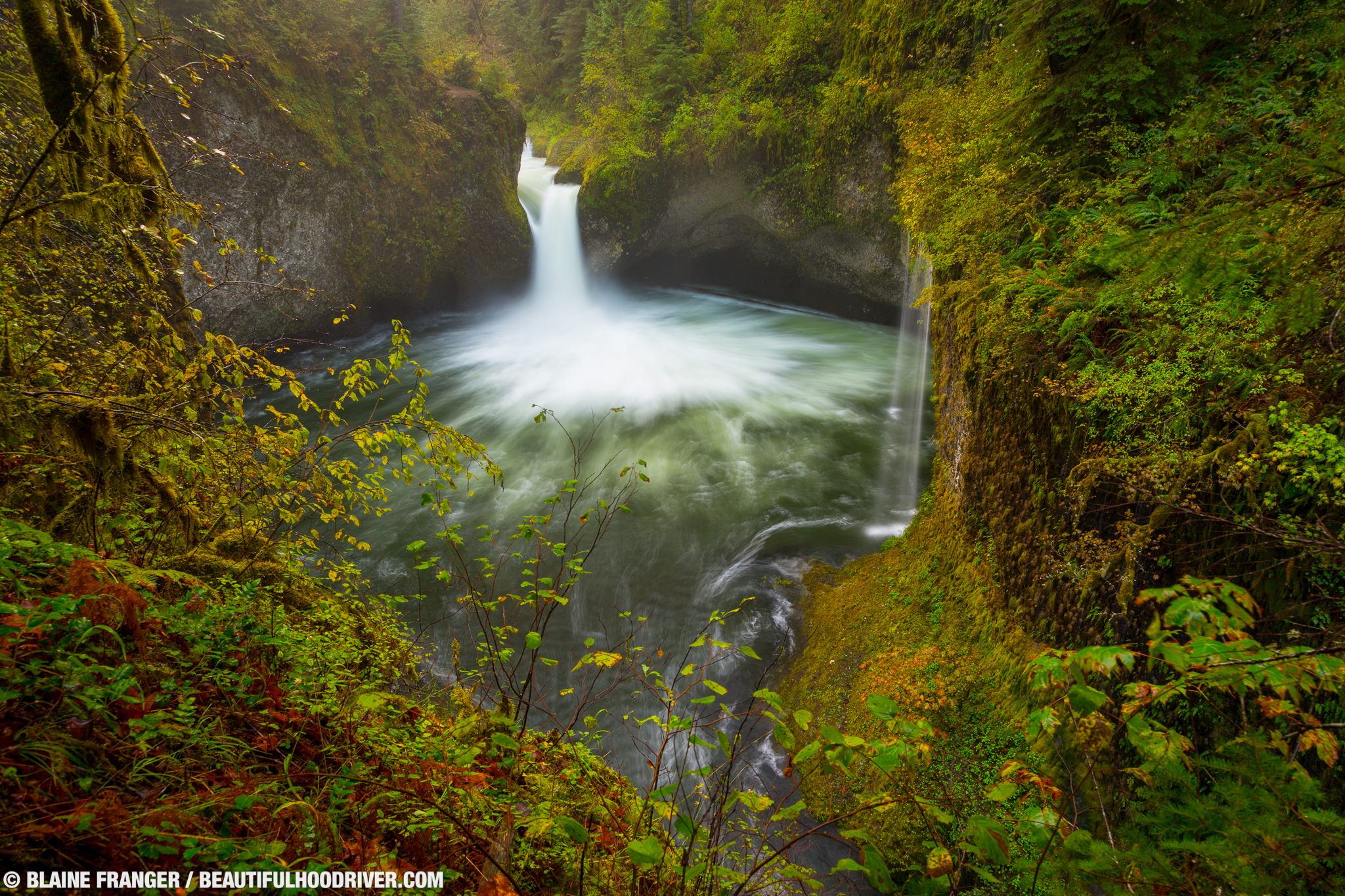 HOOD_RIVER_OREGON_eaglecreek_01.jpg