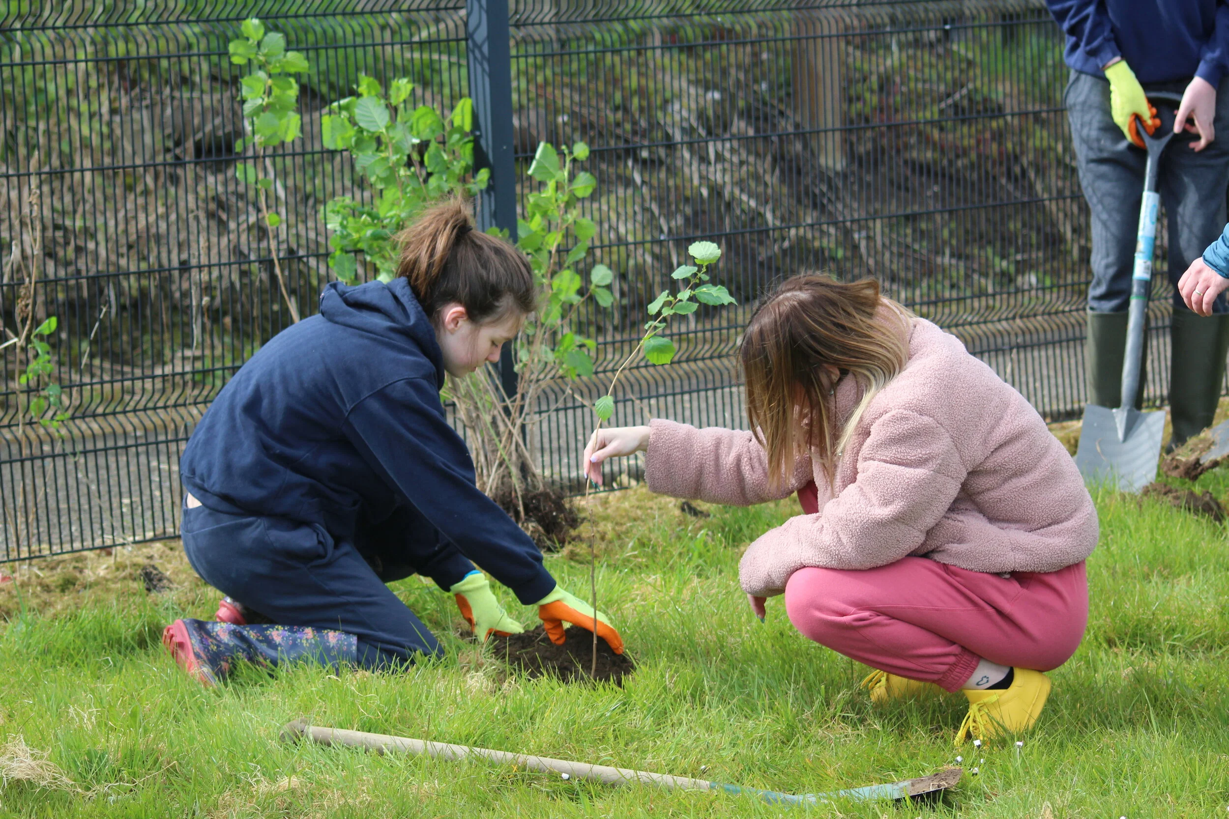 ACE Centre planting trees