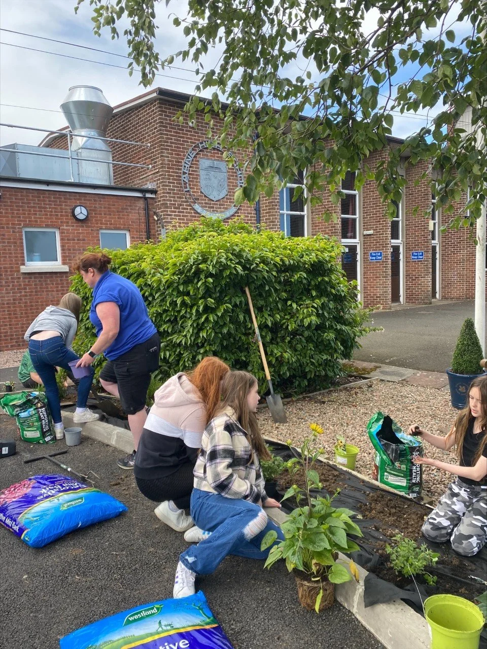 Resilience and Well-being Project