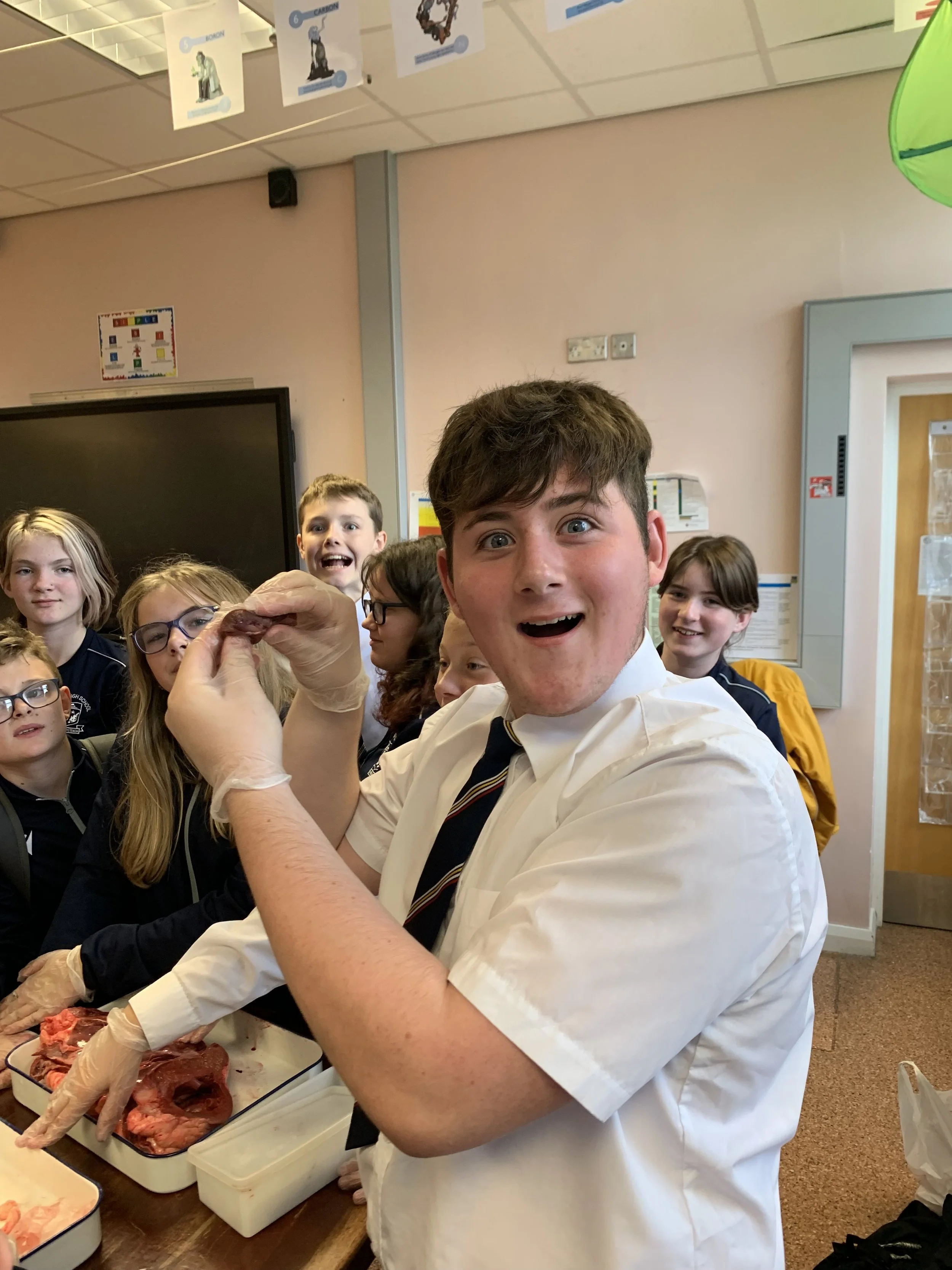 Science Lab get dissecting!