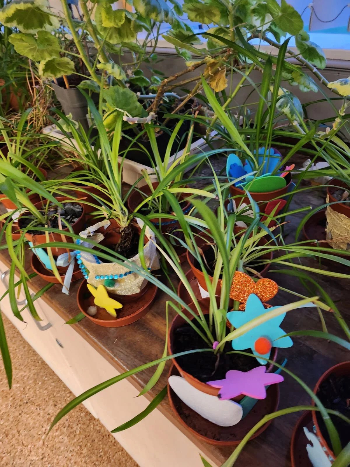 9N Christmas Plant Pots