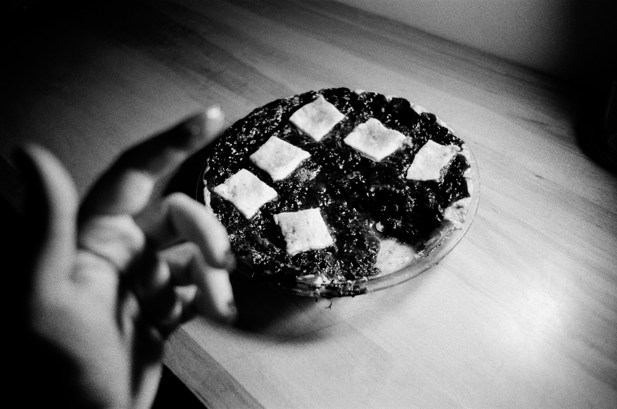 cherry (blueberry), 2026 