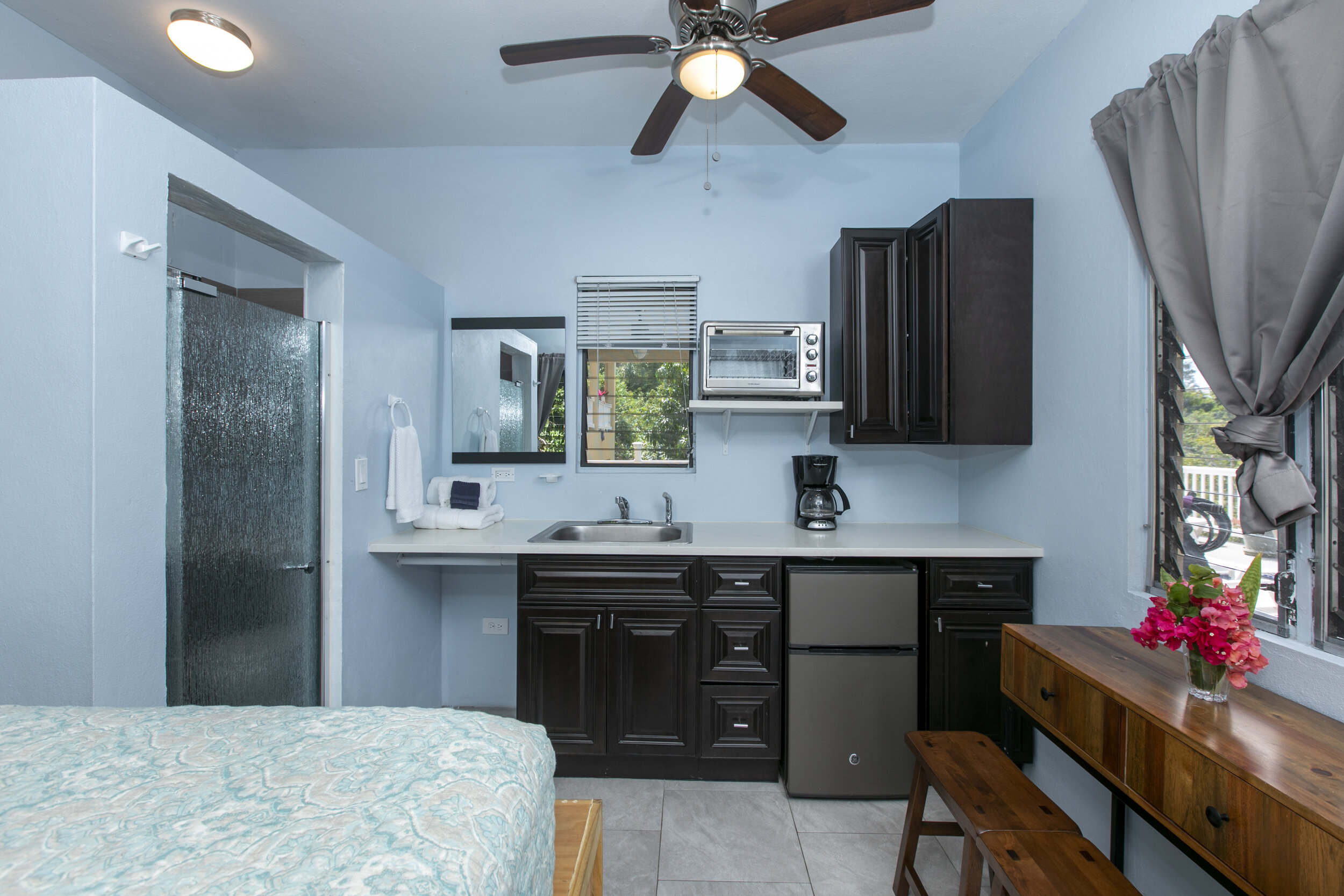 Vanity to the left with closet rod/hangers, kitchenette to the Right has been updated to include a microwave (hotplate, toaster oven, coffee maker, tea kettle) mini fridge has a separate freezer.