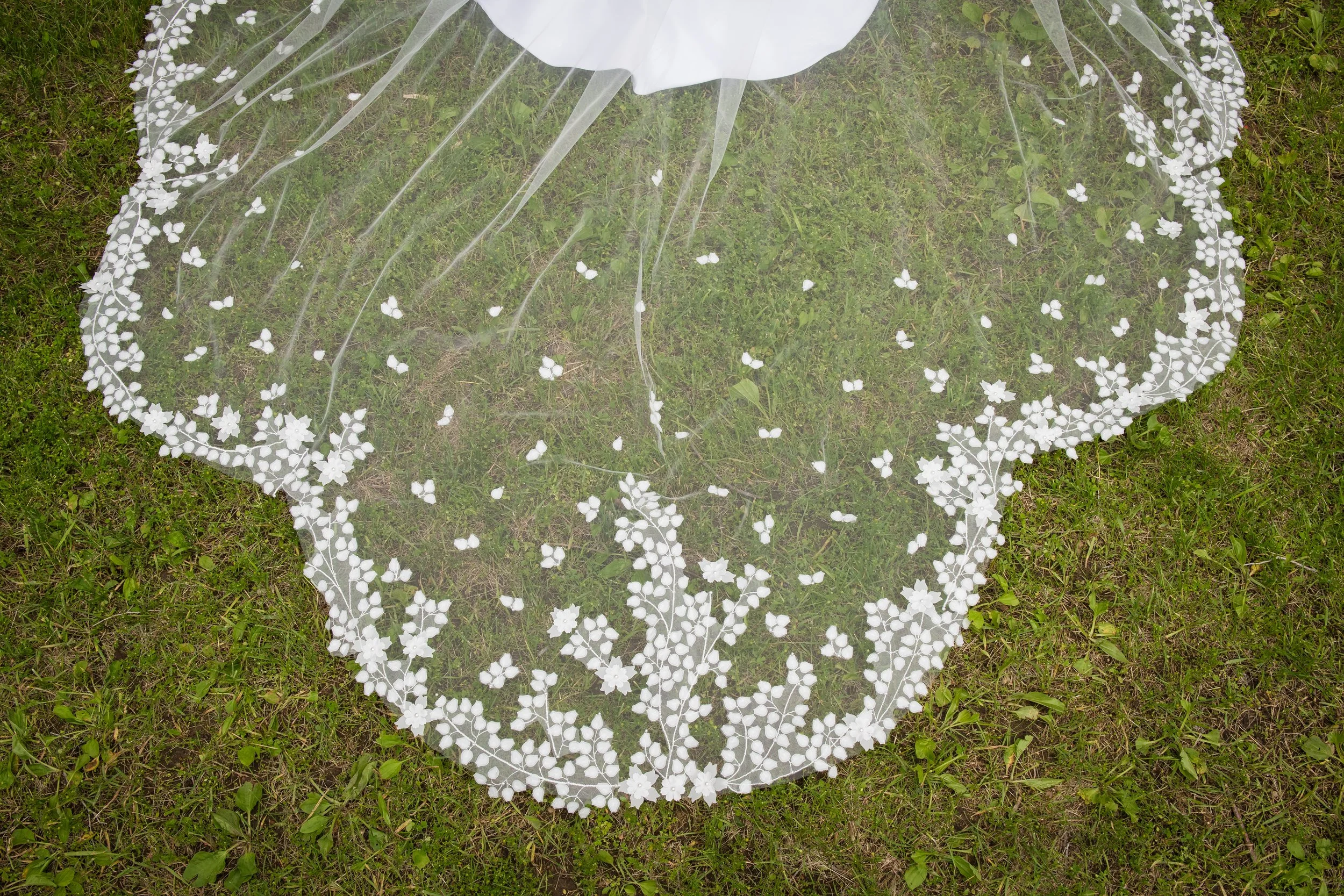 CF901 CLOSE -smaller.jpg