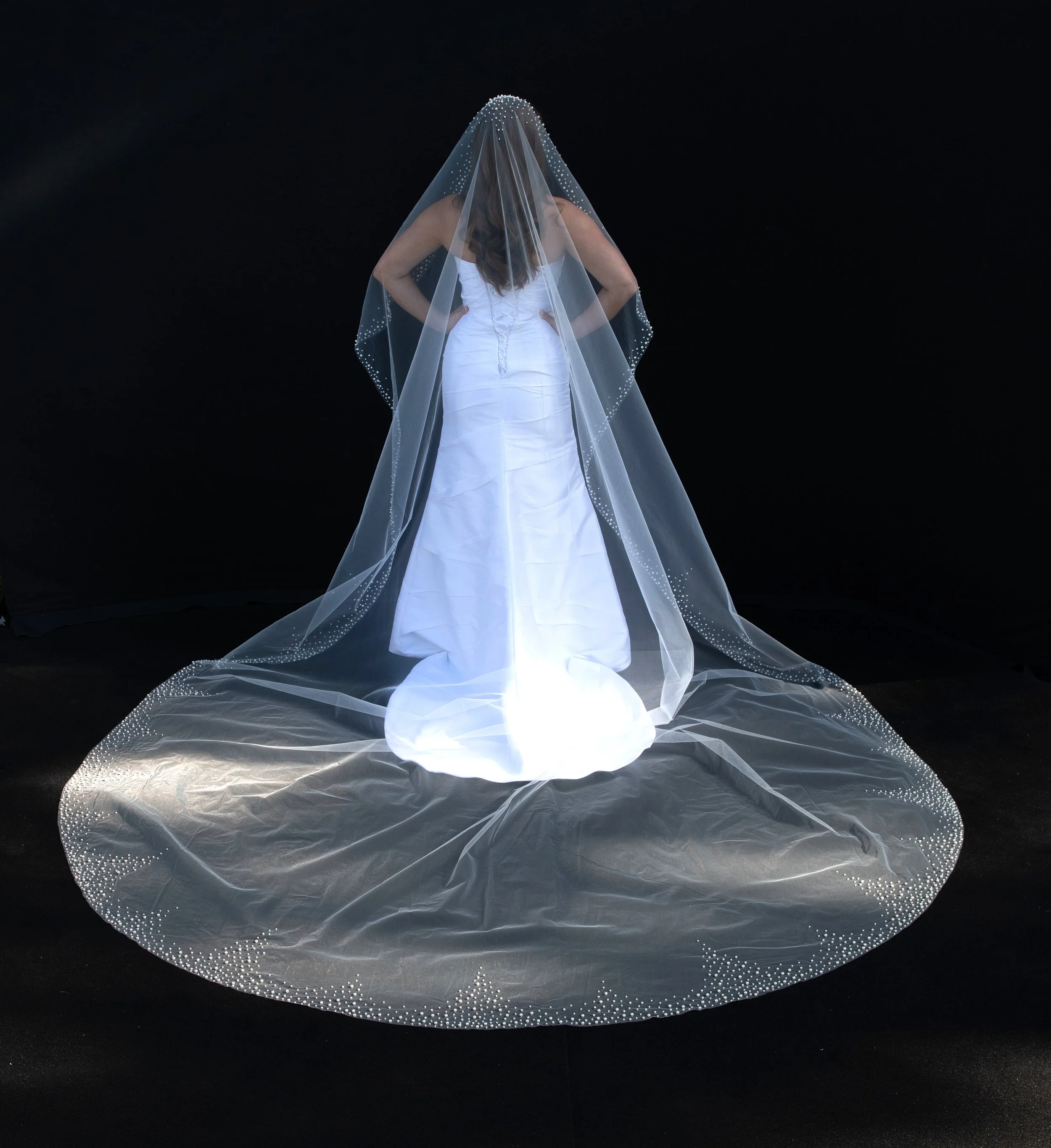 CF965CATH back.jpg