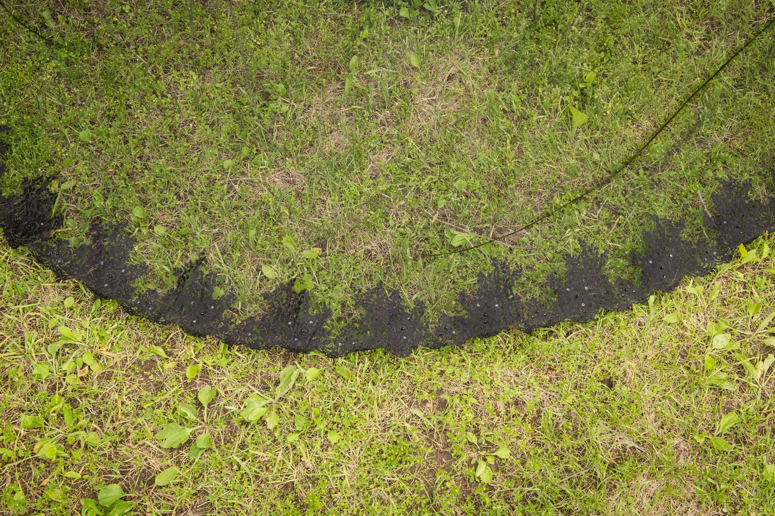 CF907 CLOSE-smaller.jpg