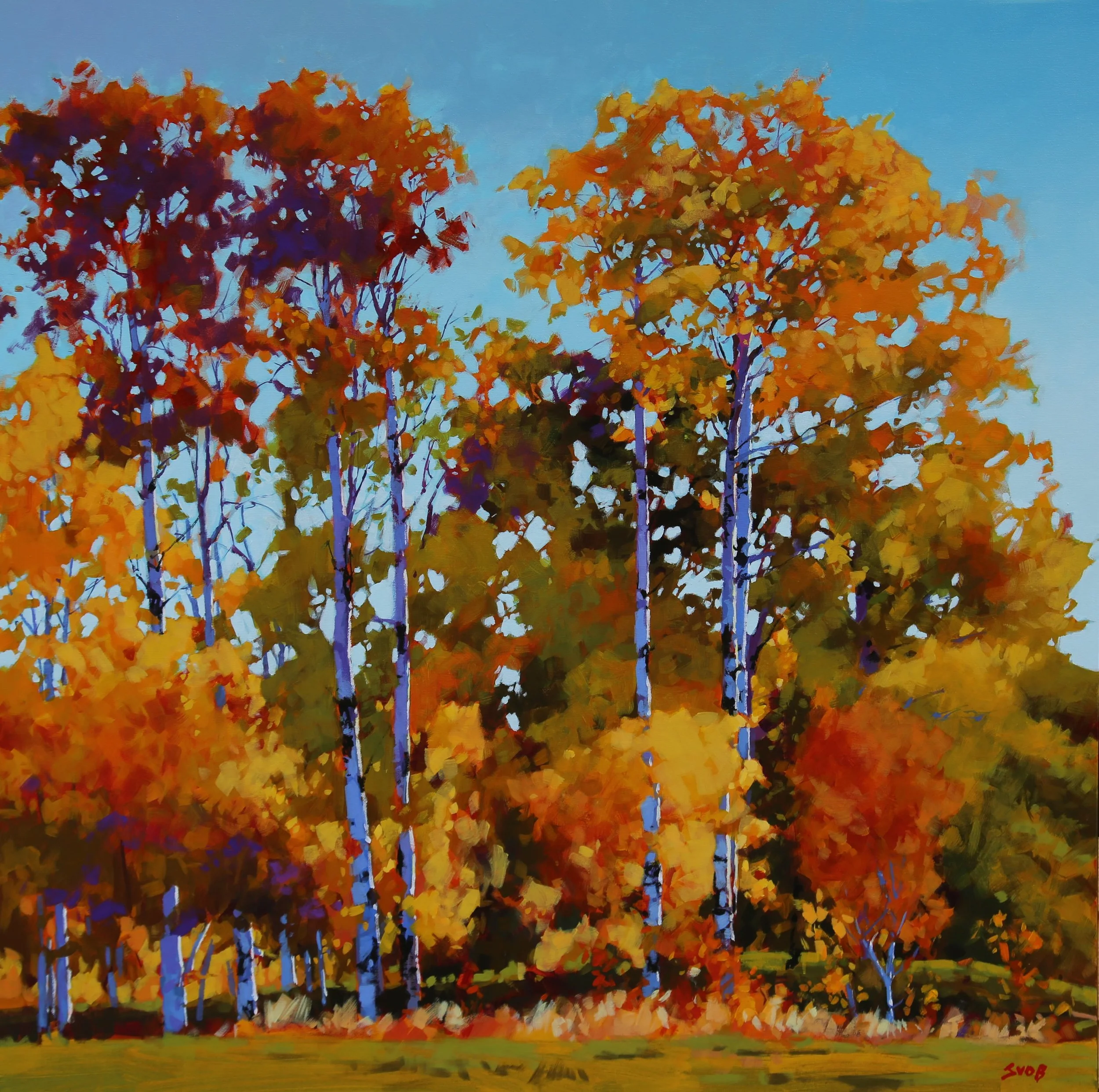 Cariboo Aspens 30 x 30 A Canvas Wrap.JPG