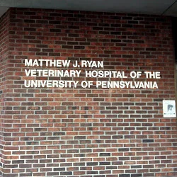 upenn.jpg