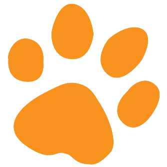 Nancy from Dracut My dog has been diagnosed with subcutaneous hemangiosarcoma. He has two metastasis nodules in his lungs. One nodule has remained stable while on I'm-Yunity®. The other has grown. We will be having our 3rd checked x-ray in a couple of weeks for an update on nodule growth.