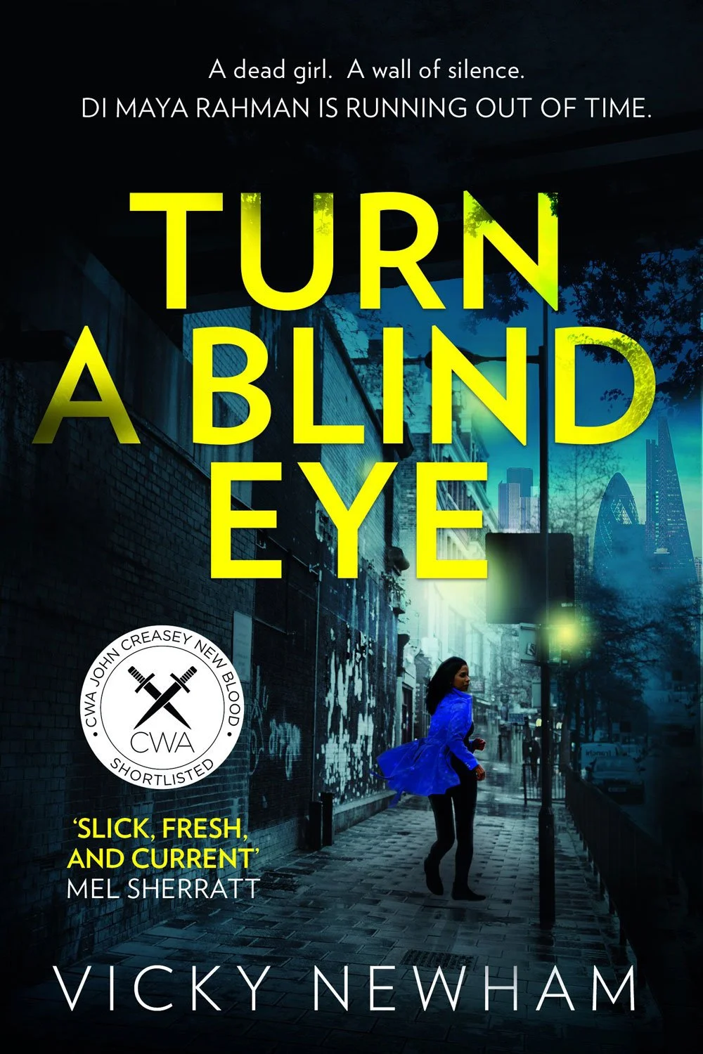 Turn A Blind Eye by Vicky Newham