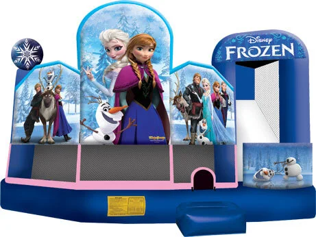 frozen 5in1.jpg