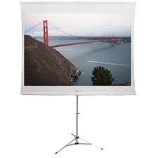 Projector Screen.jpg