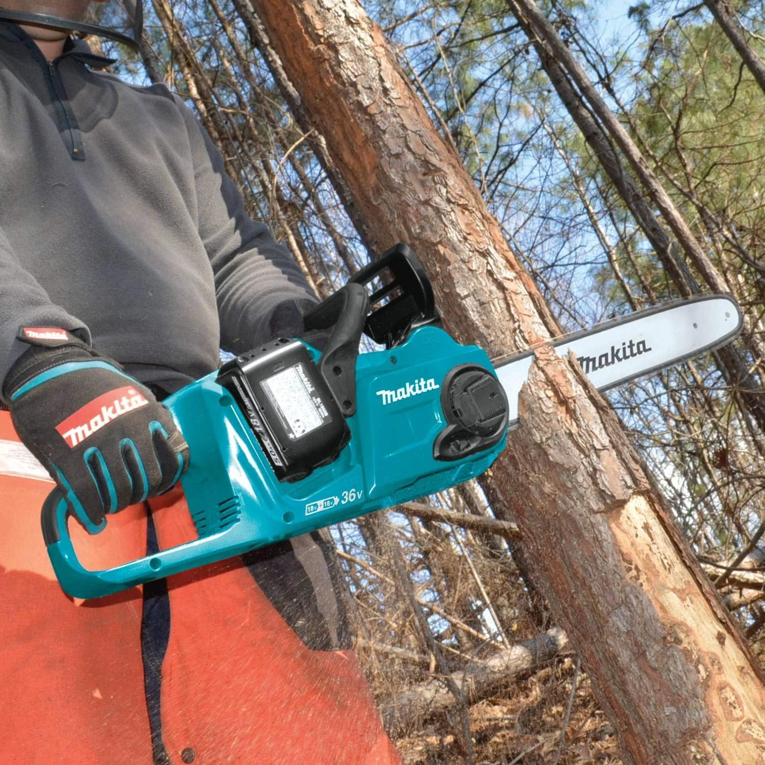 Chain Saw.jpg