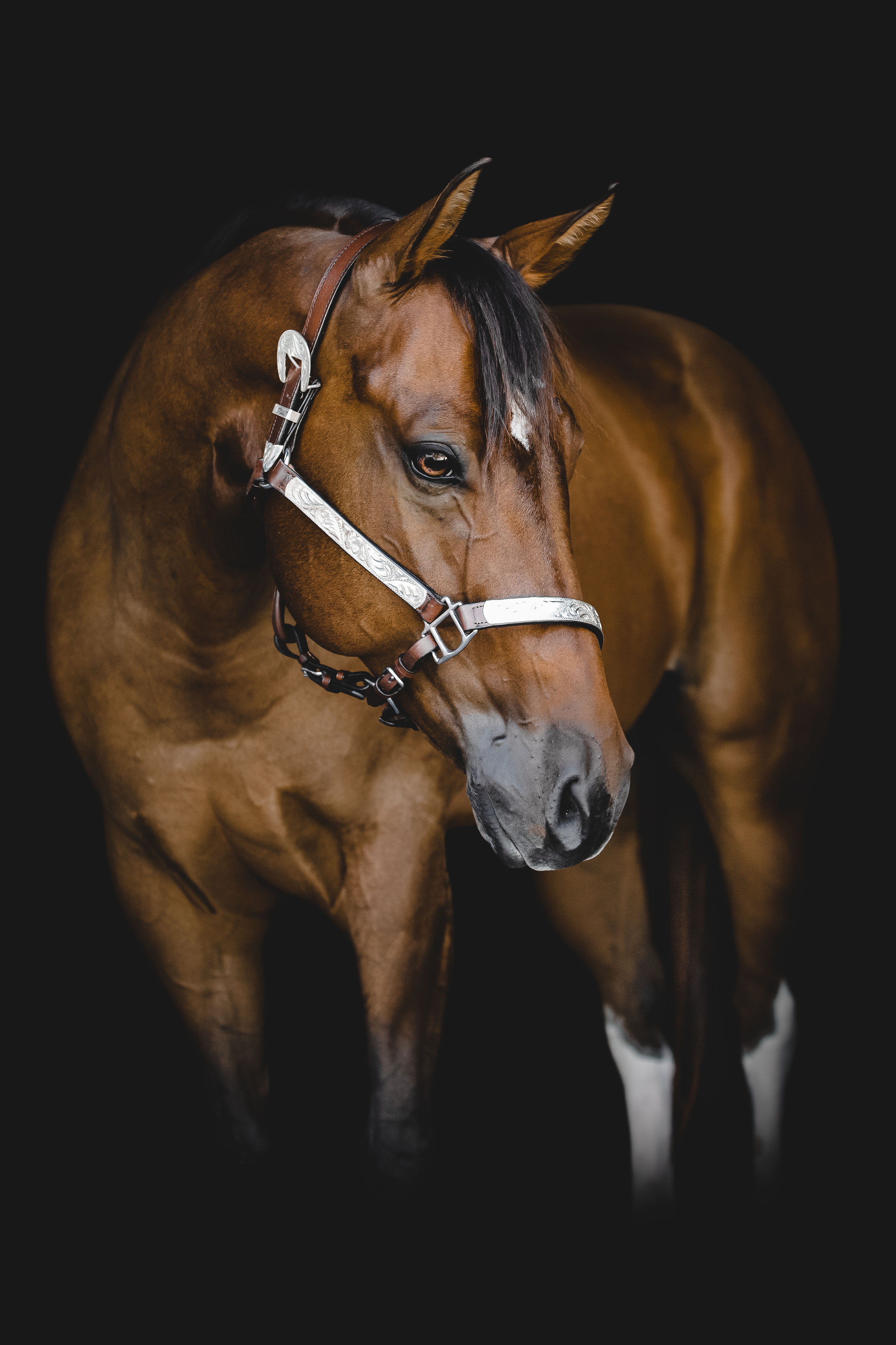 0F9A0313-Edit.jpg