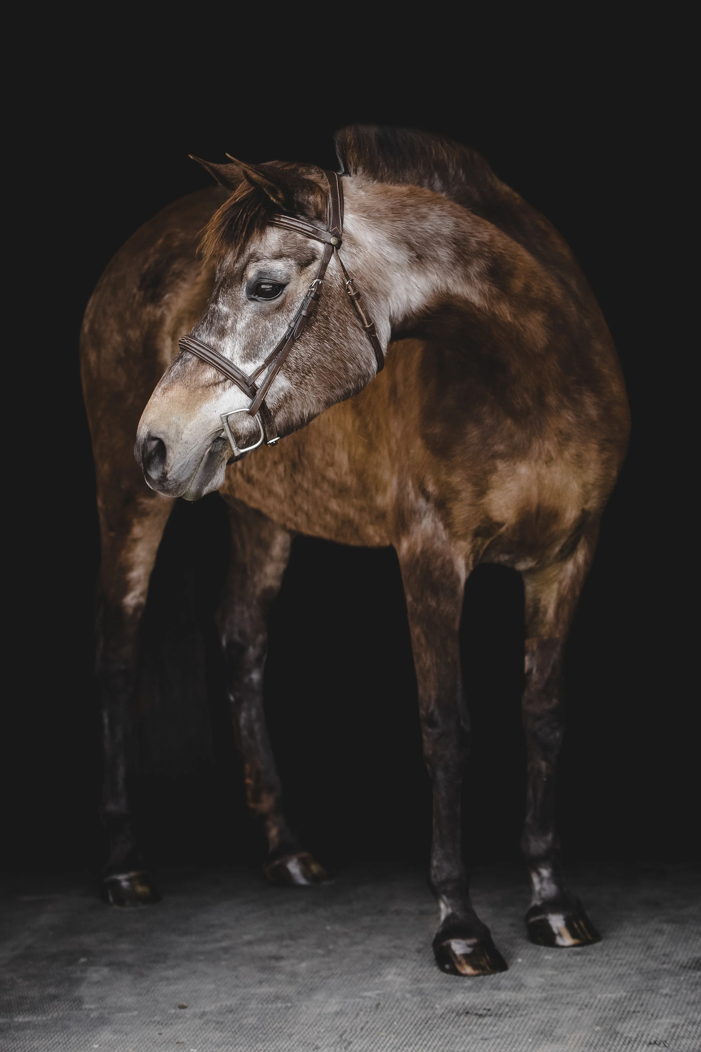 0F9A1644-Edit.jpg
