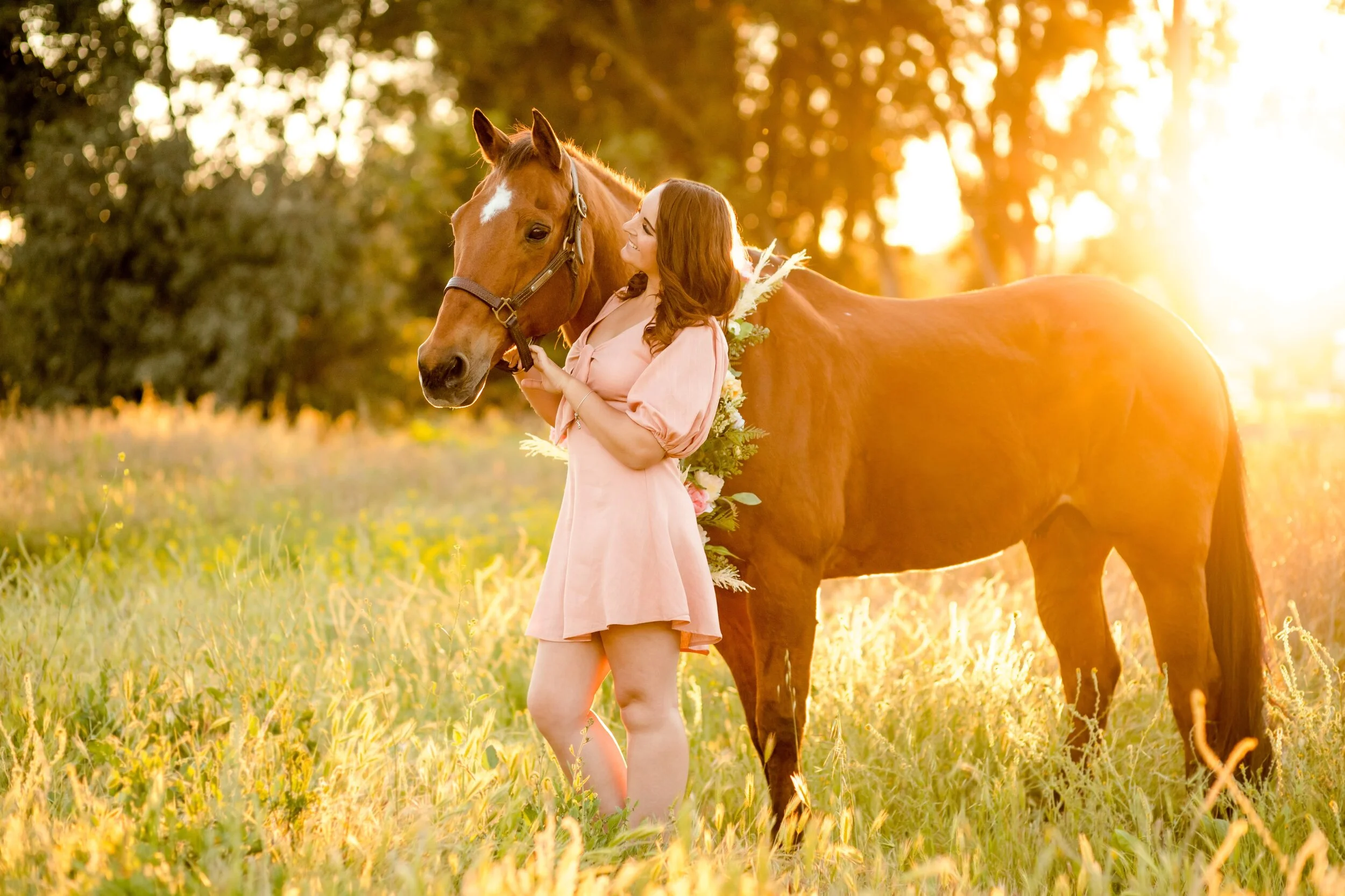 horse photo shoot — Blog — Sara Shier Photography