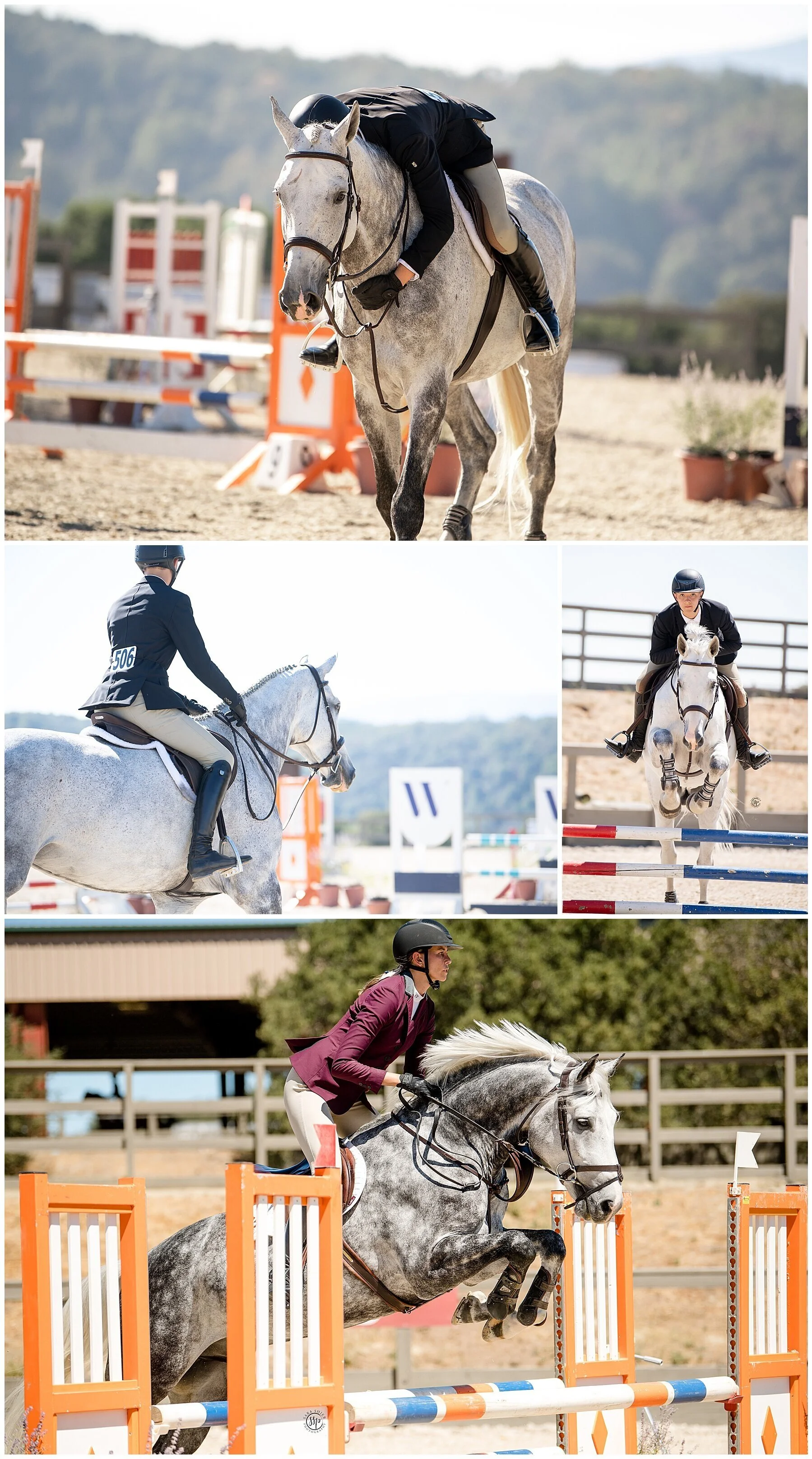 Silicon Valley Equestrian Festival 1 Horse Park at Woodside