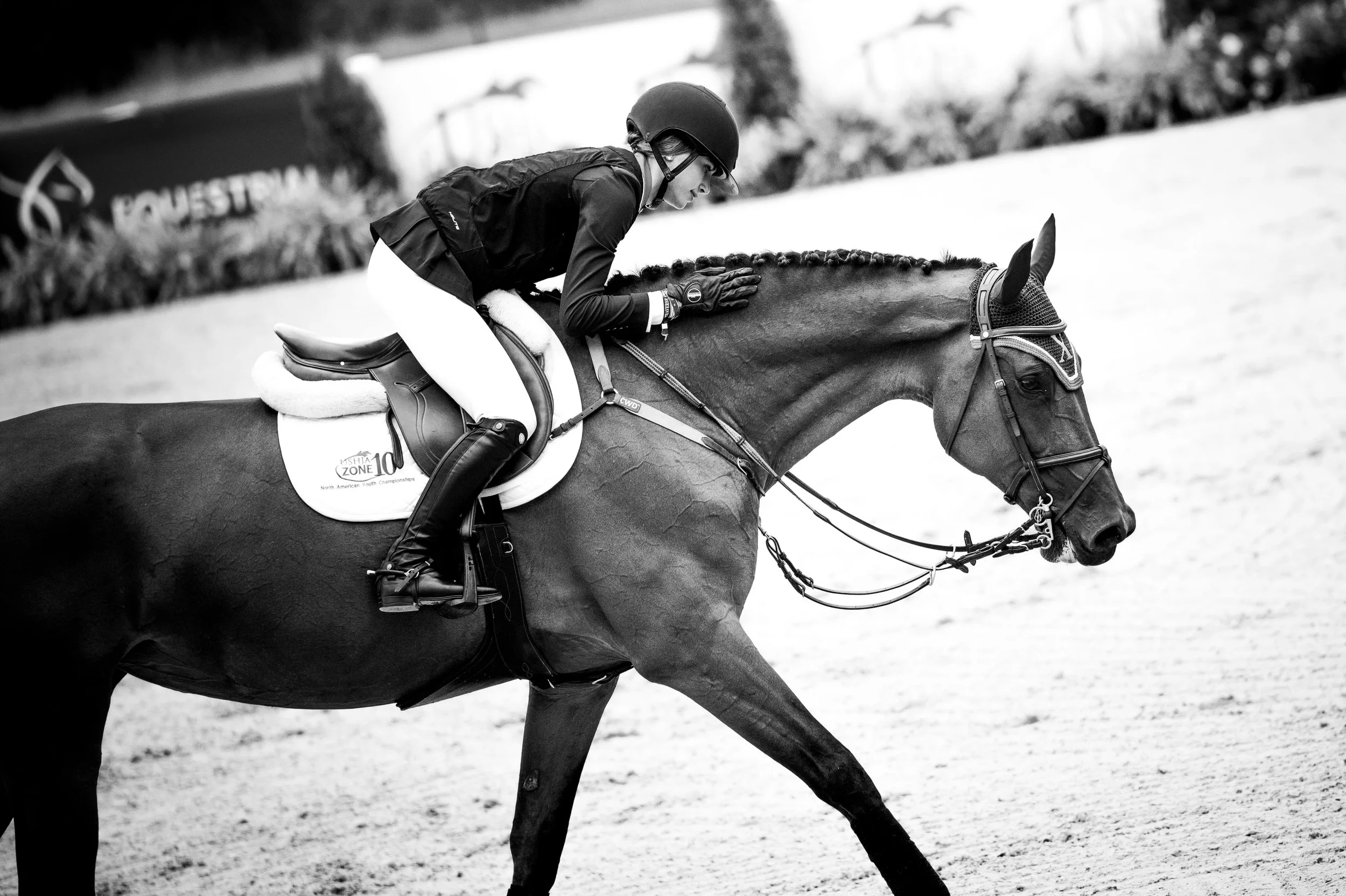 Equestrian Show Photography