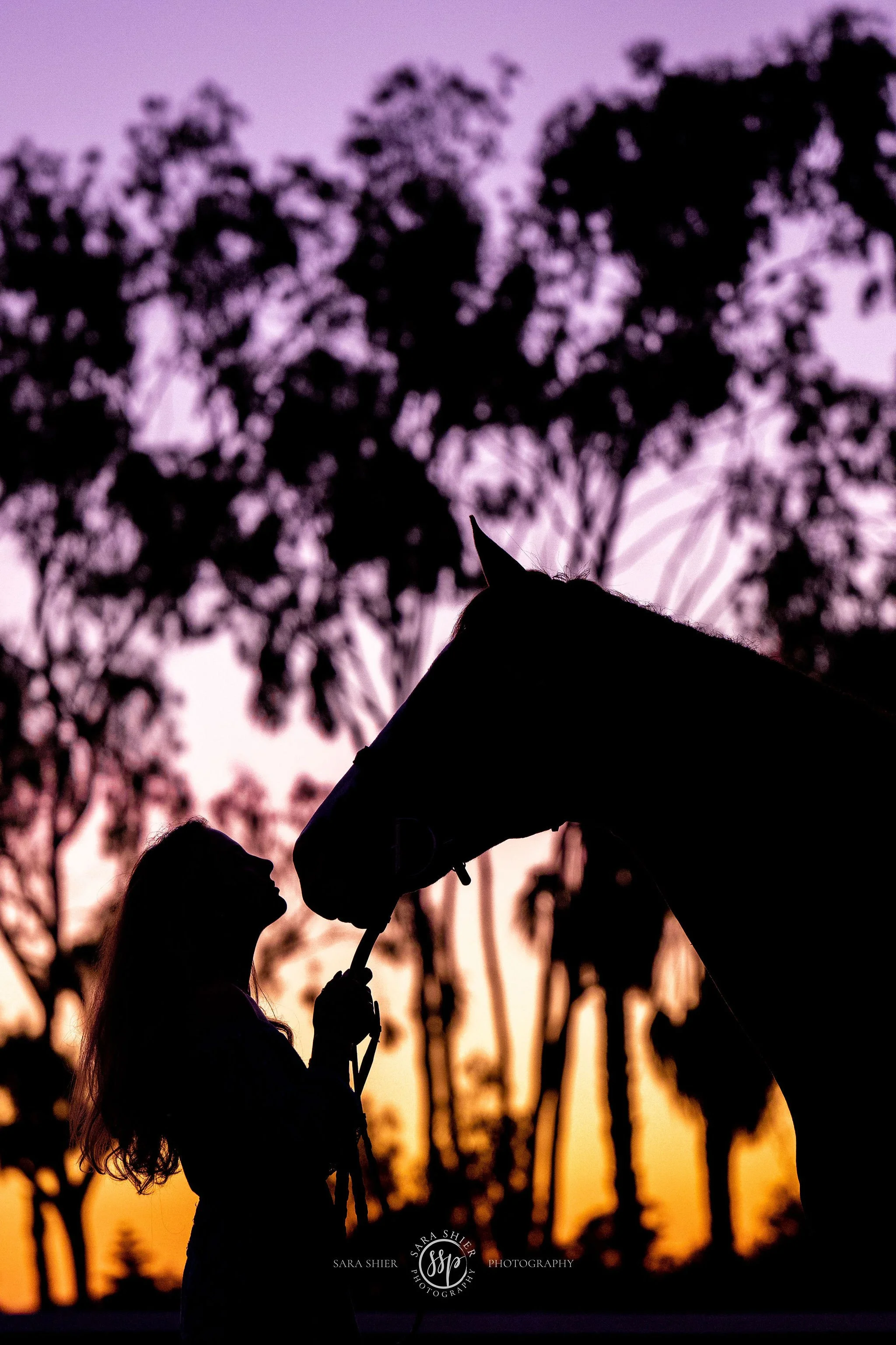 Kelsey + Pepe Huntington Central Park Equestrian Center Huntington