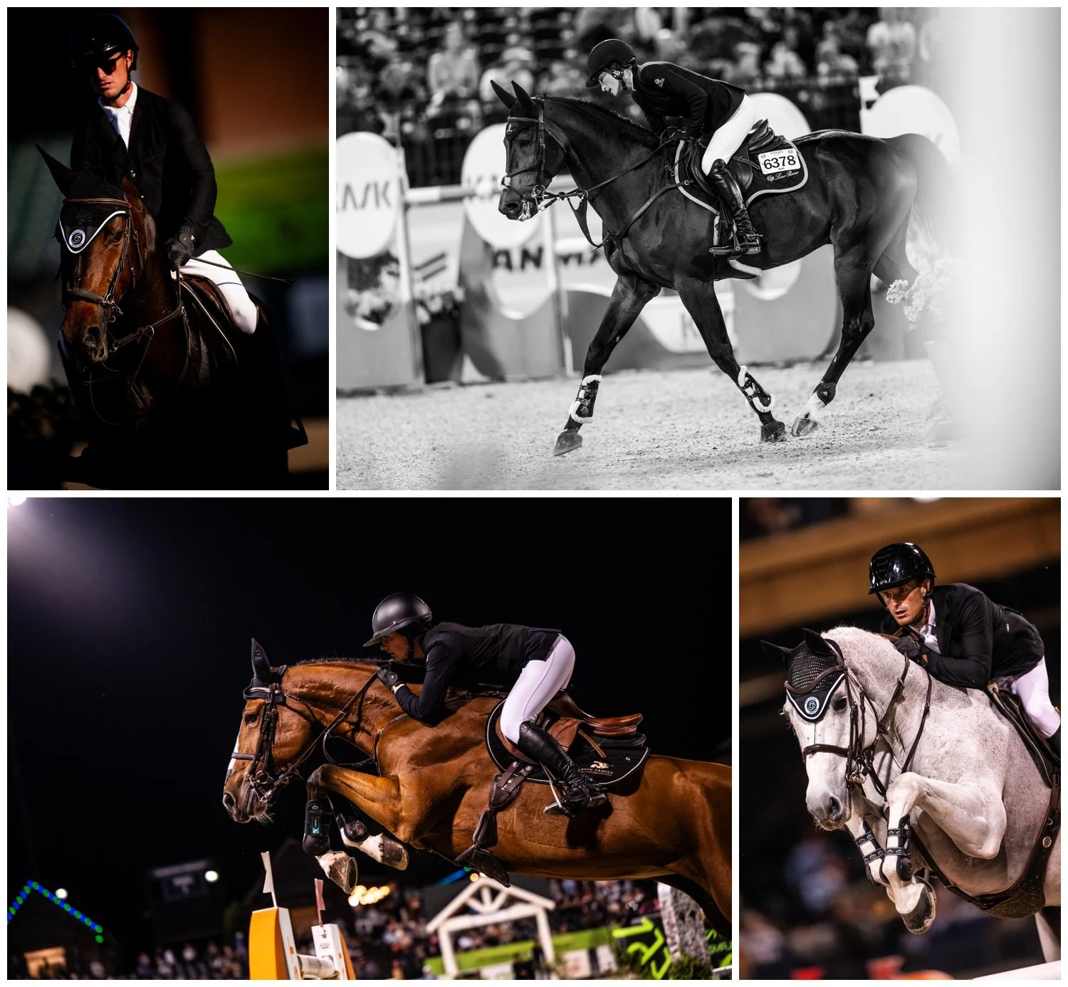 Team Northern Lights | Major League Show Jumping | Tryon International ...