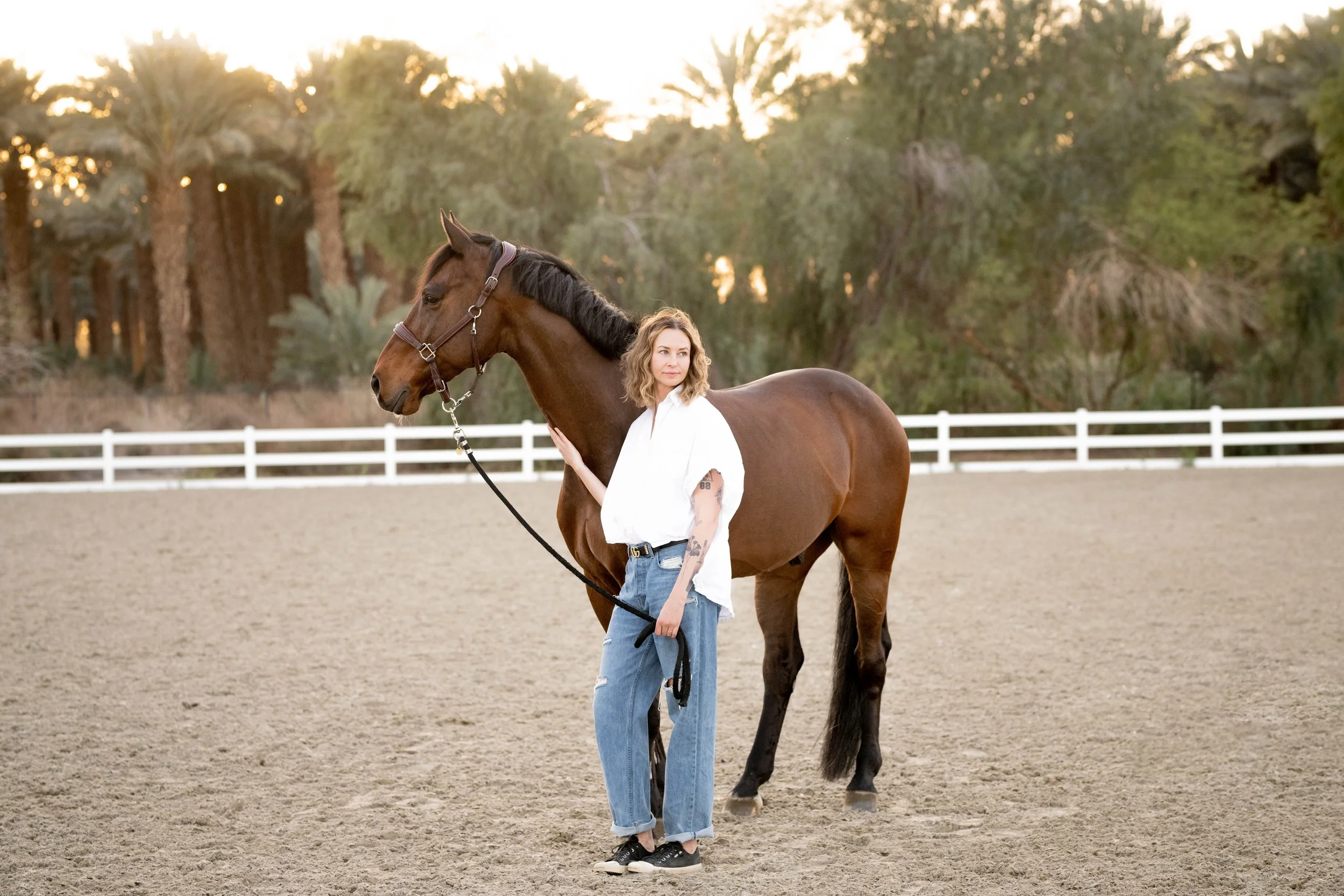 Horse and rider deals