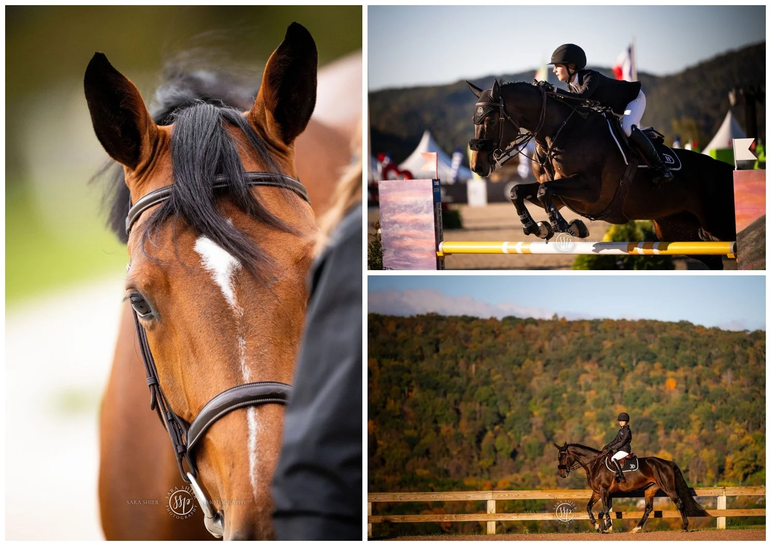 Silo Ride Della White | Silo Ridge Field Club | Amenia, NY | Sara Shier ...