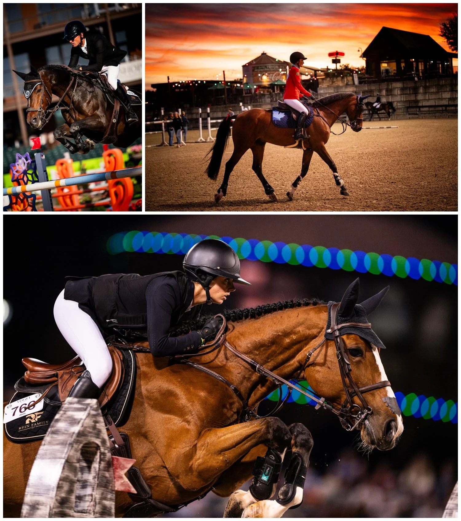 Team Northern Lights | Major League Show Jumping | Tryon International ...