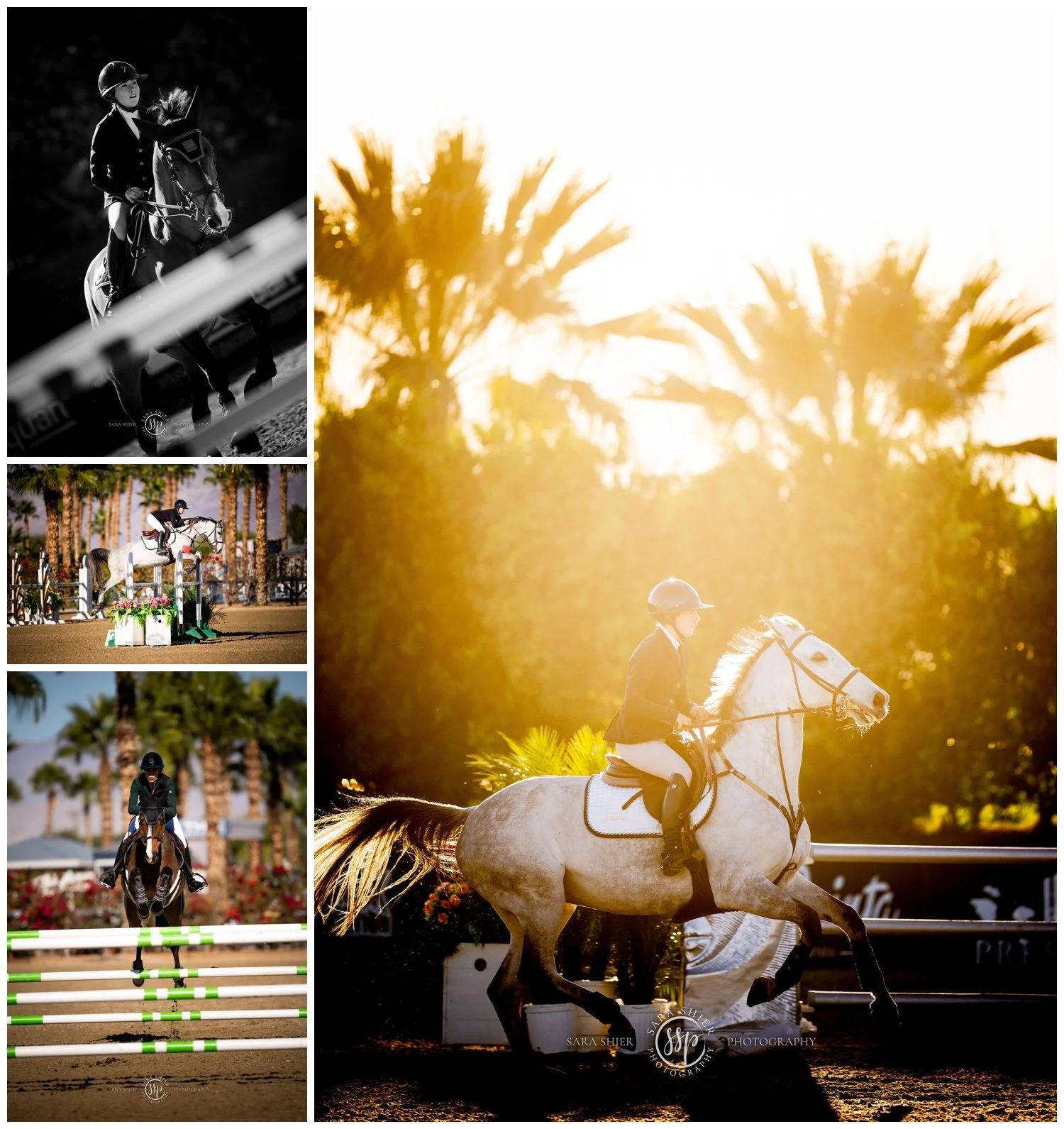 MTN Equine | Desert Holiday | Desert International Horse Park | Thermal ...