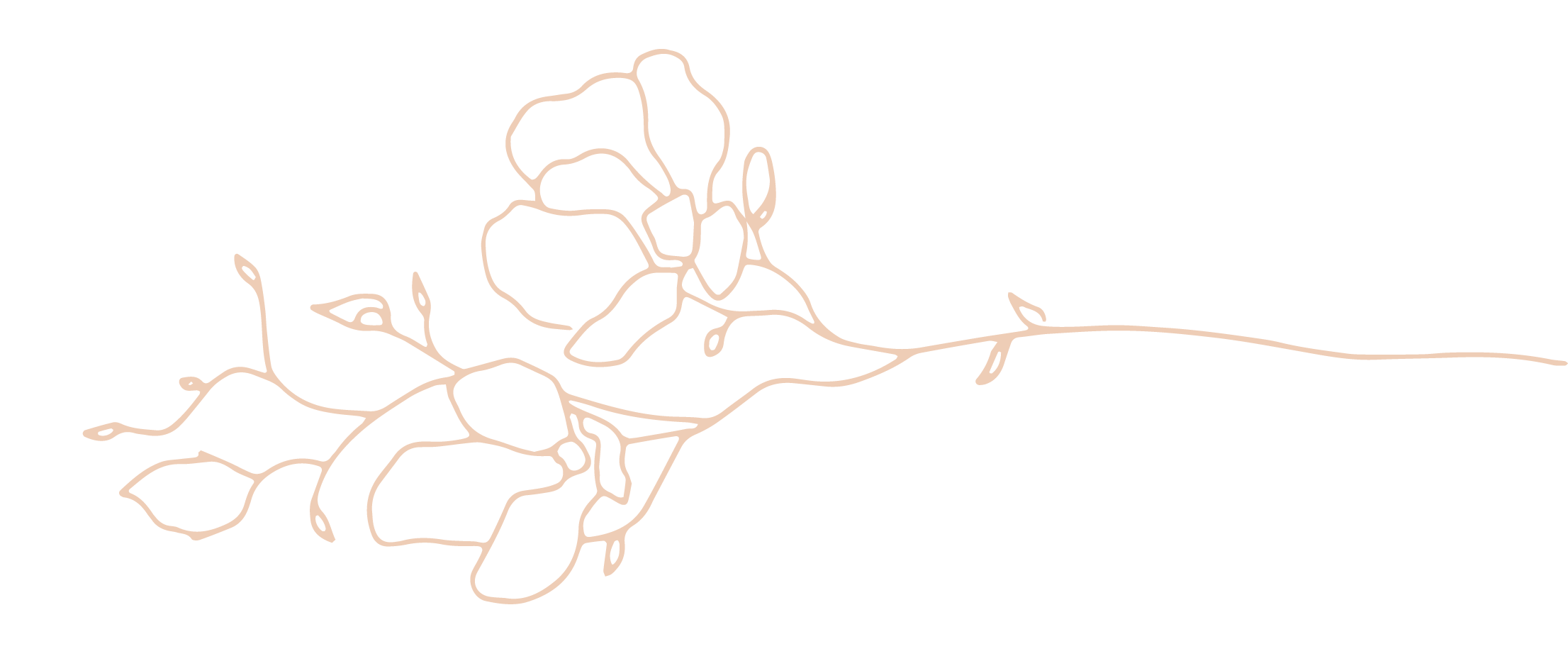 pink-graphic-top.png