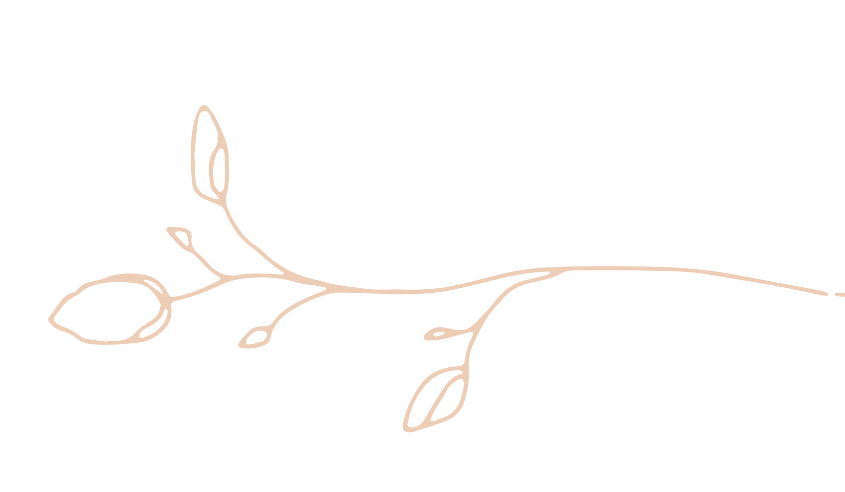 pink-graphic-right-two.png