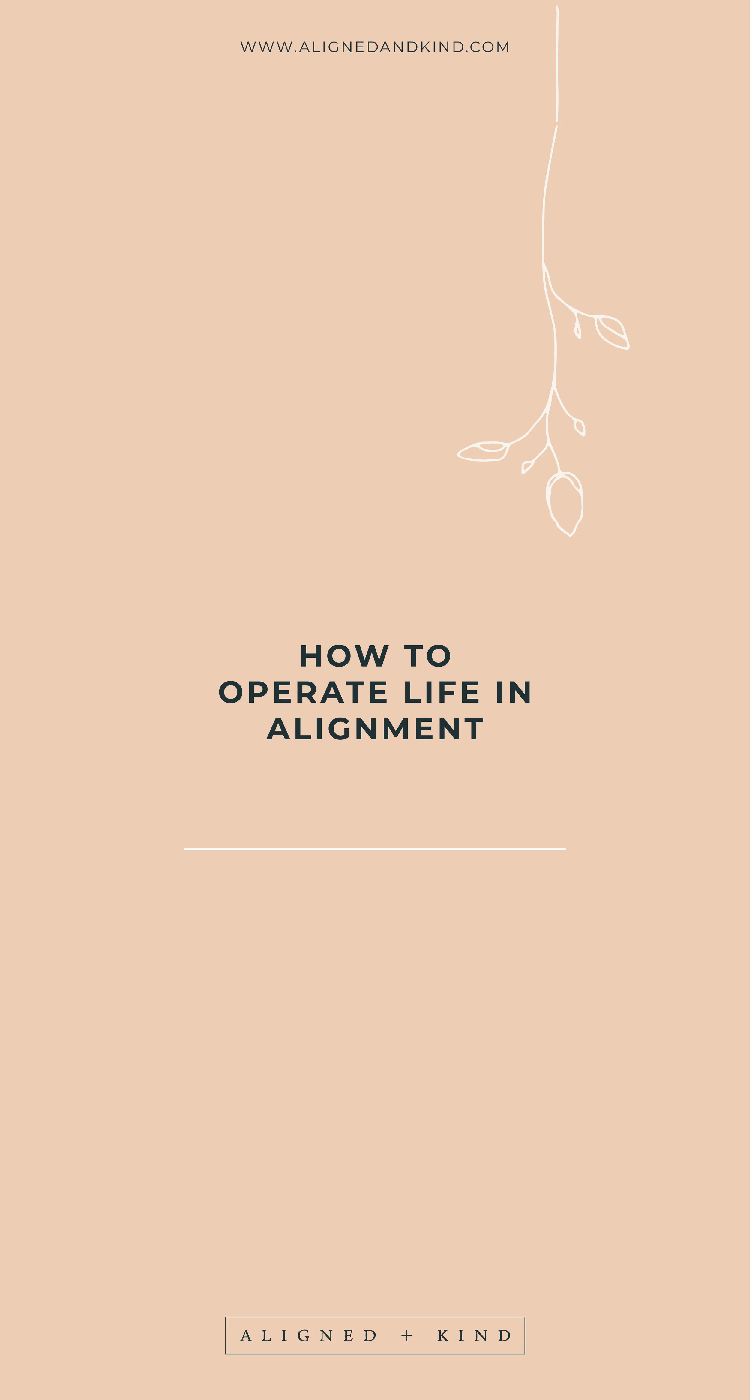 The Simple Secret to Operating Life in Alignment