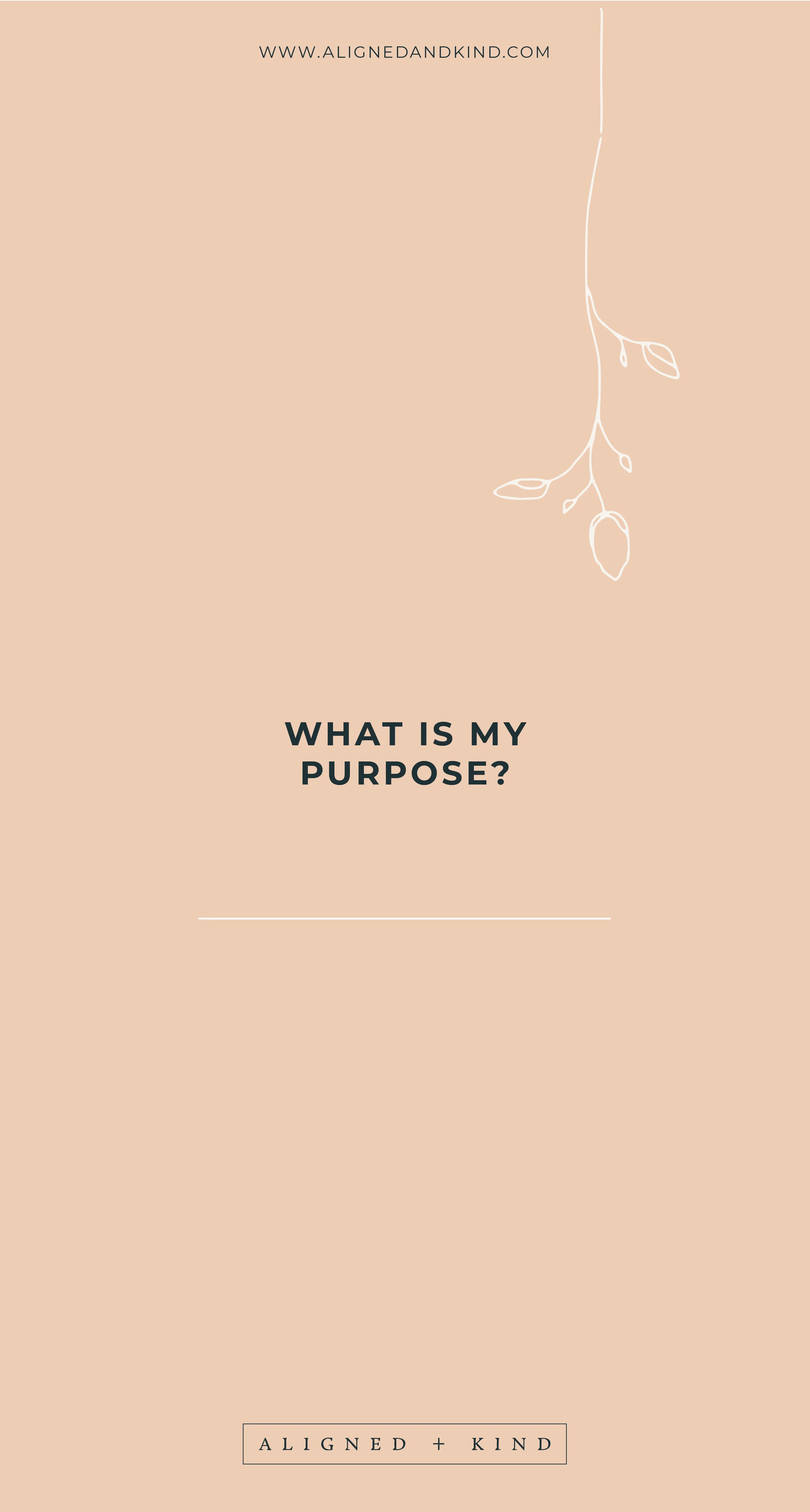 What is My Purpose?