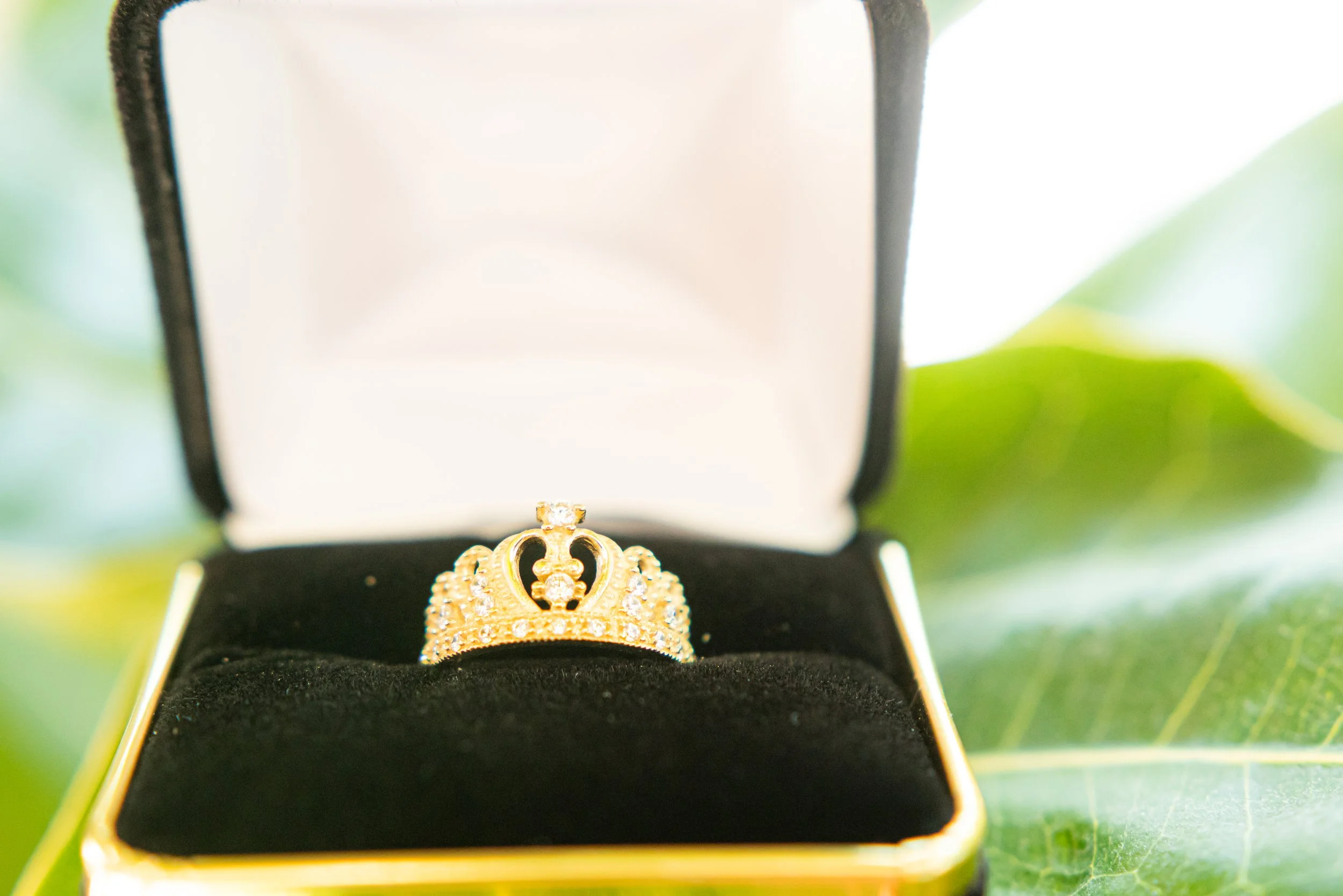 _MG_9353.jpg