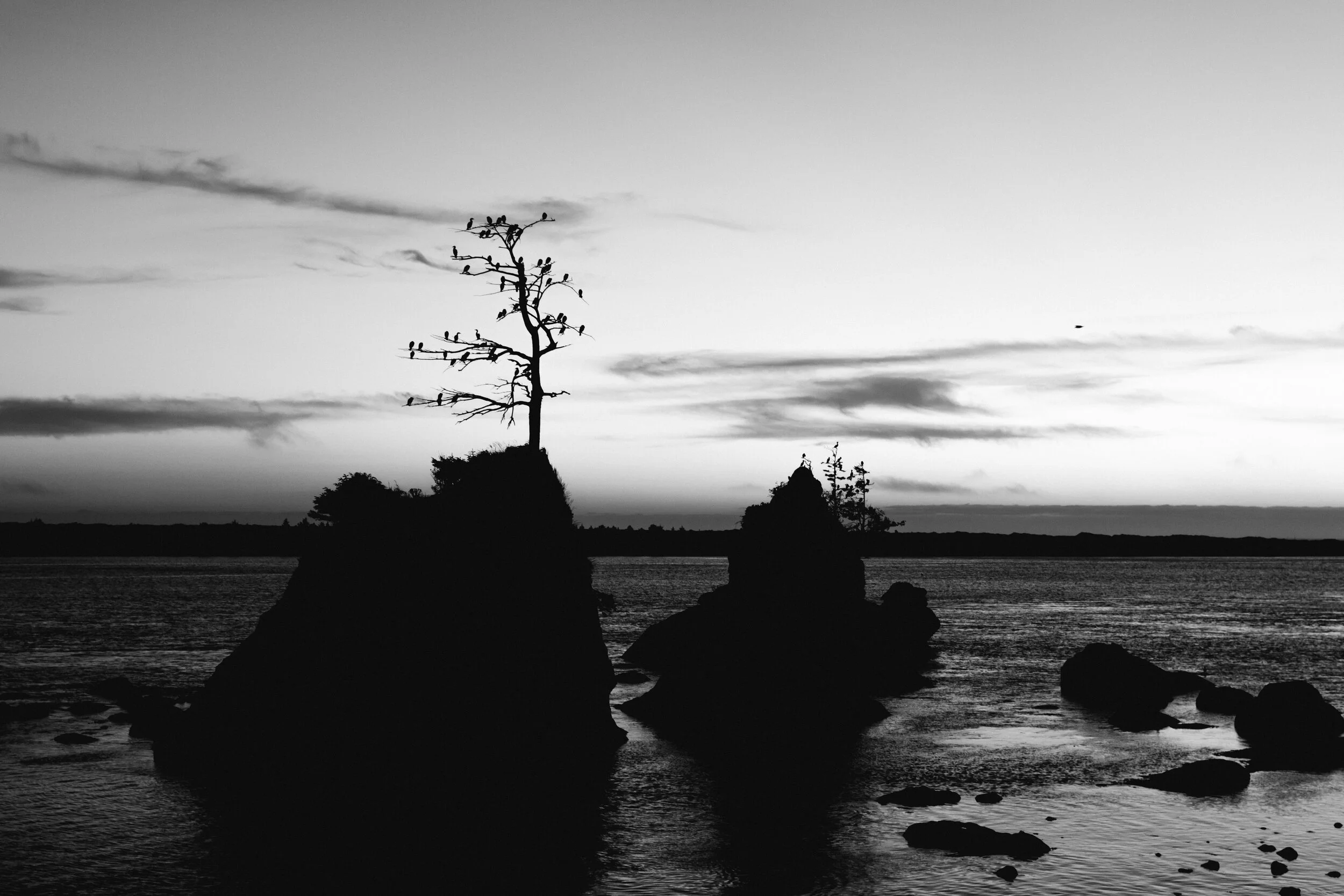 untitled-.jpg