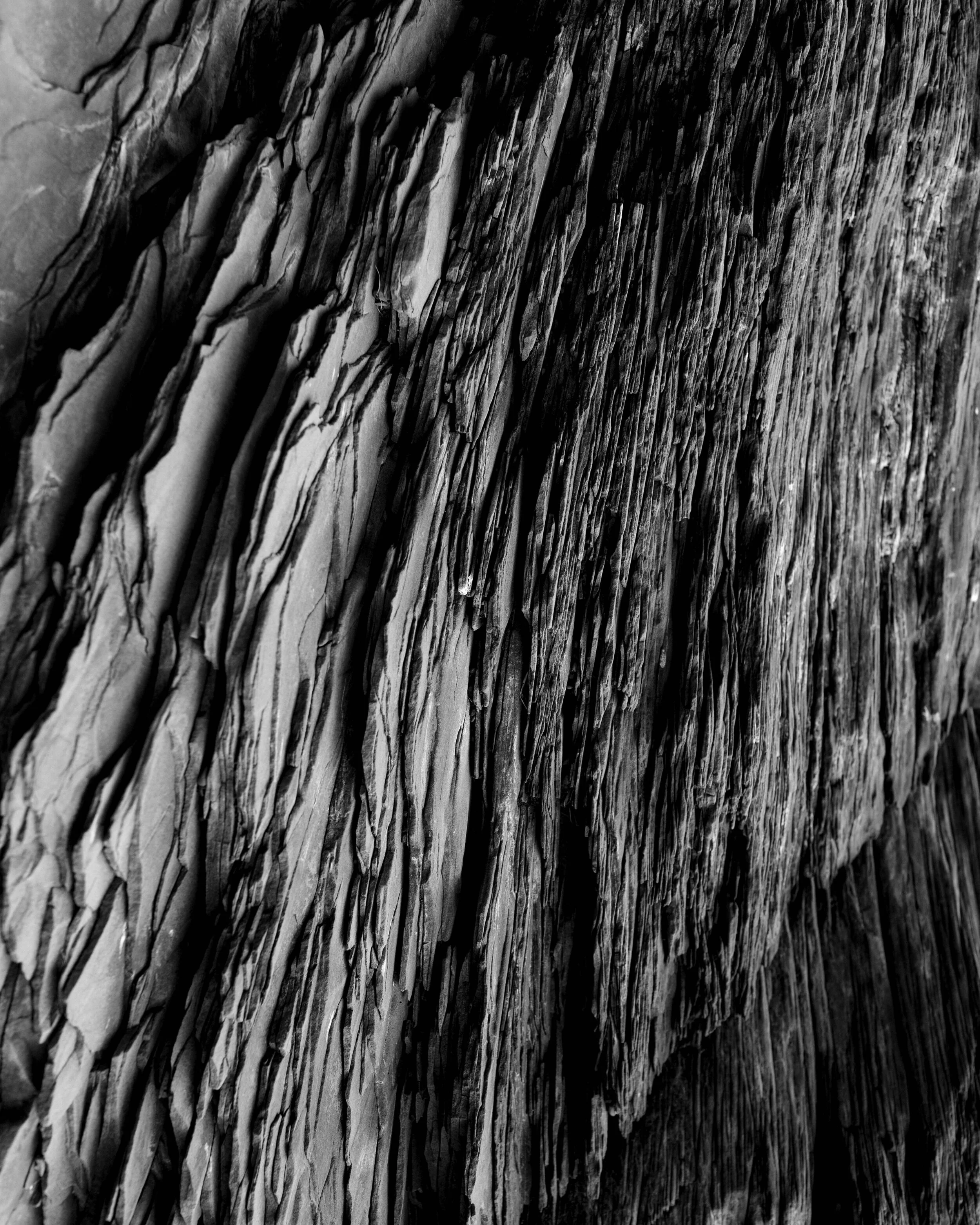 untitled-60.jpg