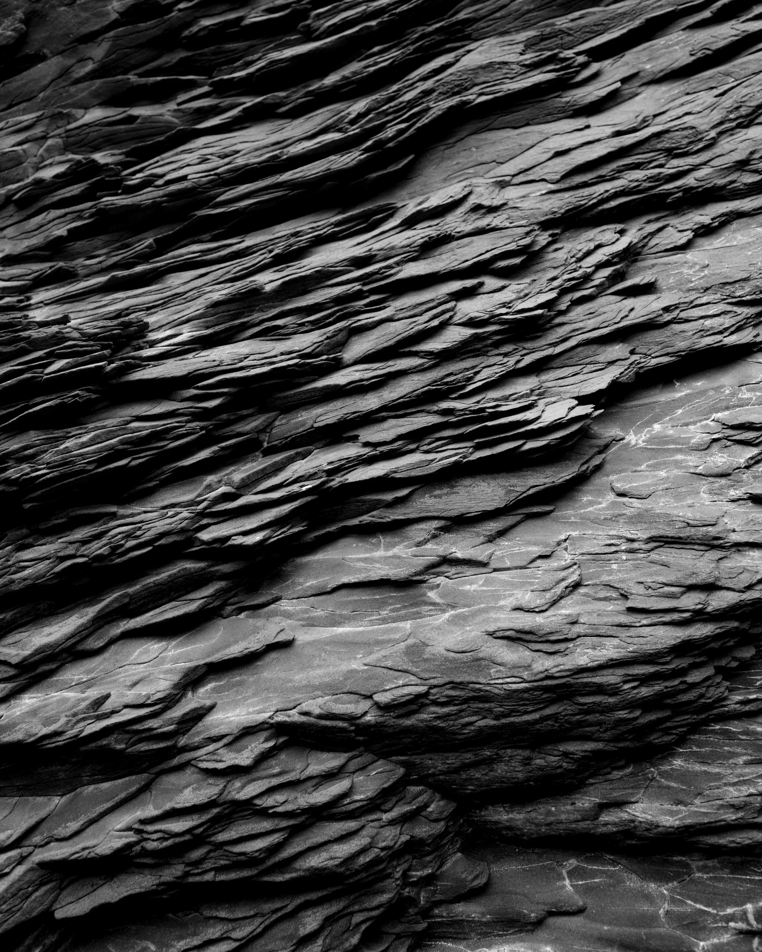 untitled-59.jpg