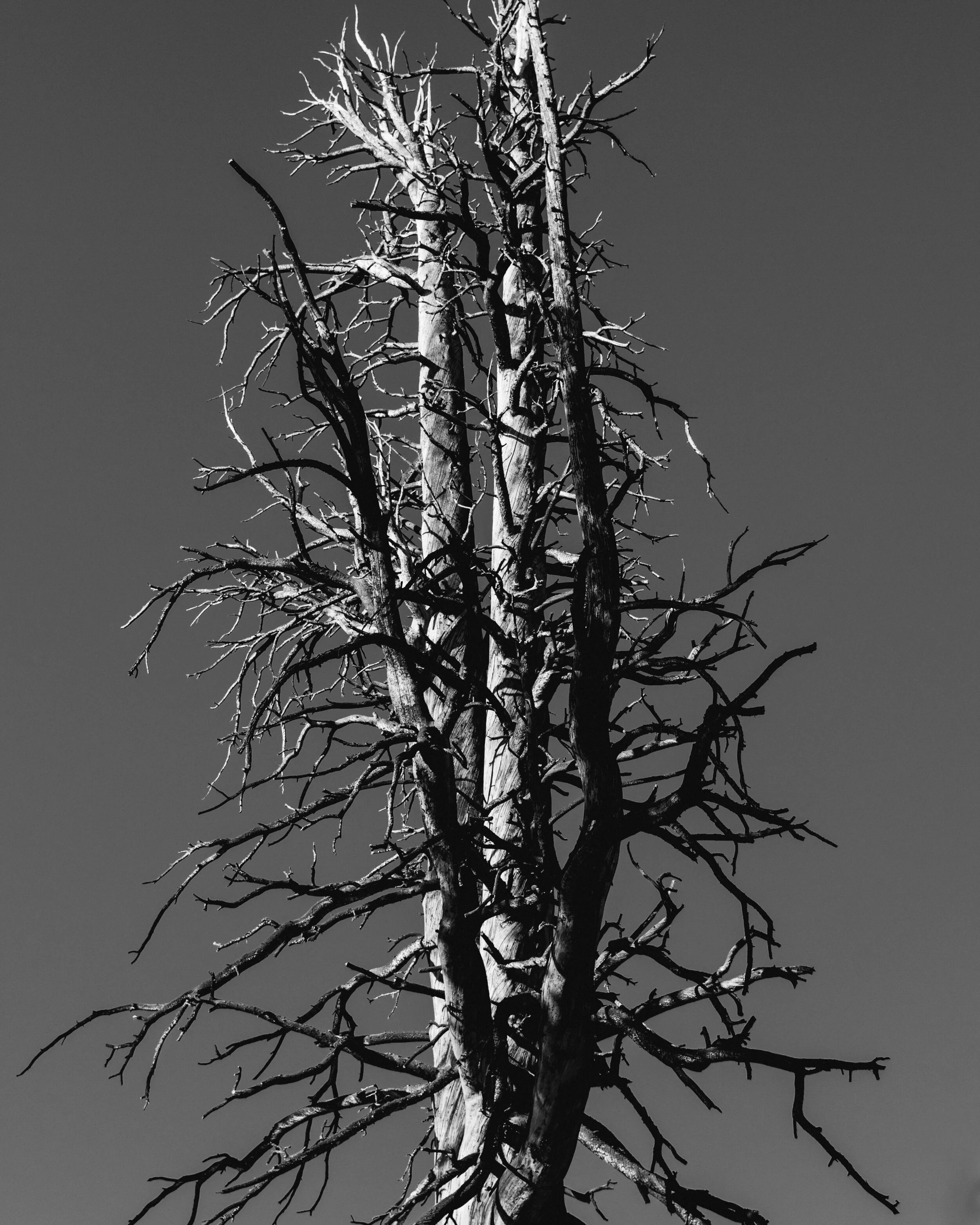 untitled-3-2.jpg