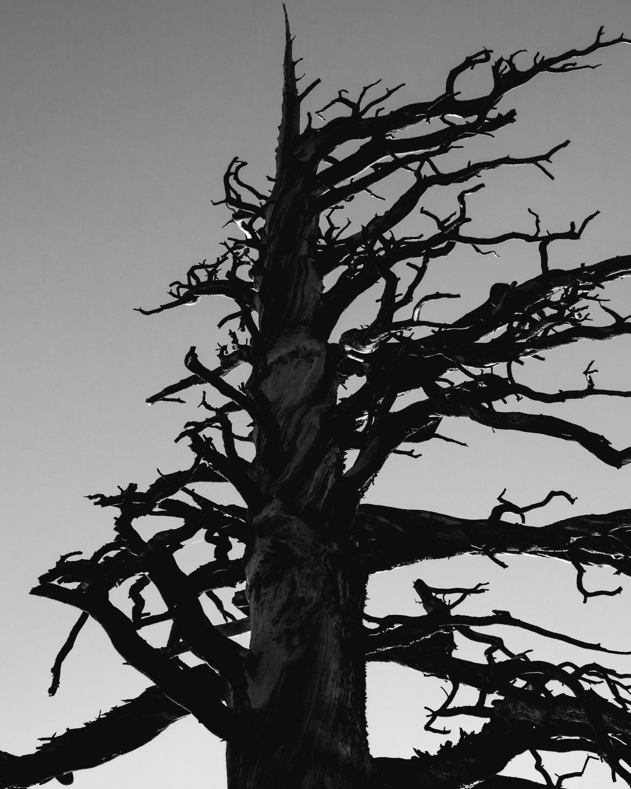 untitled-2.jpg