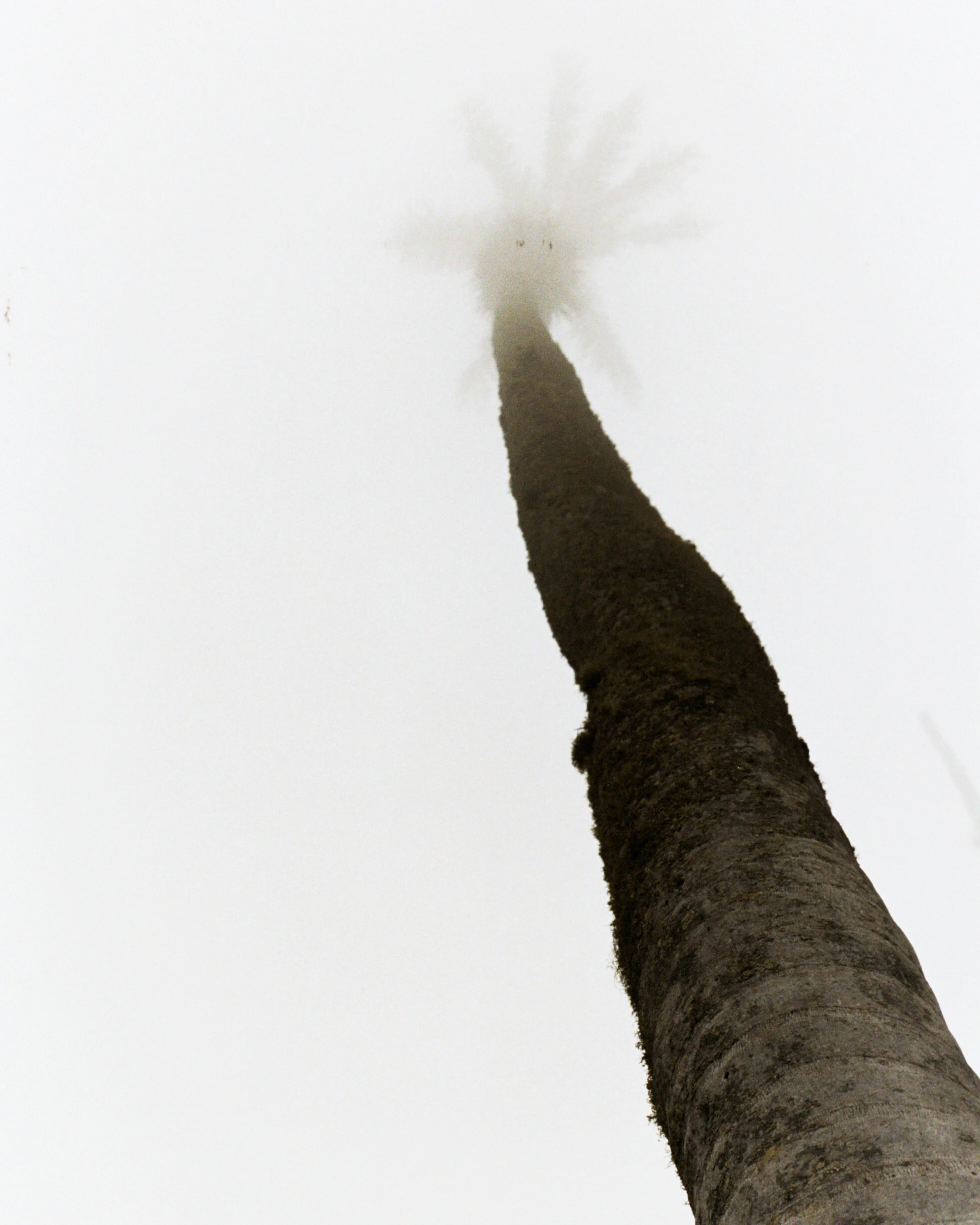 untitled-17.jpg