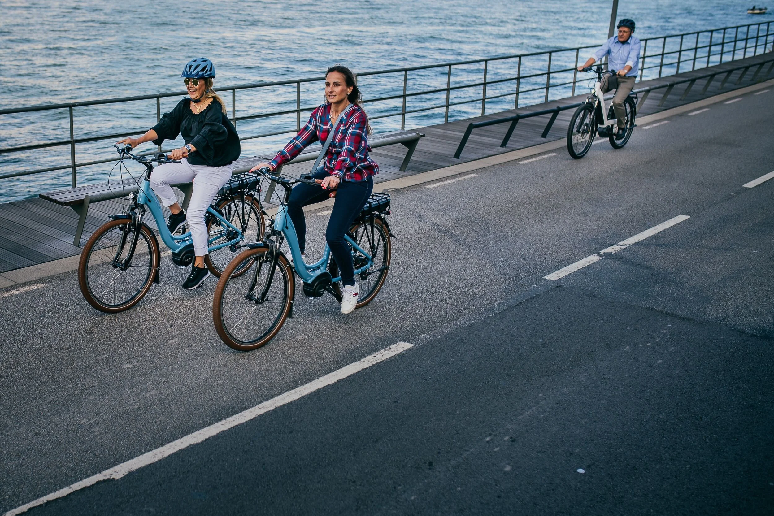 TERN | Rapid Transit Rack L — CICLO EBIKES