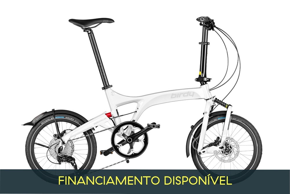 Riese Müller Birdy 2025 Model — CICLO EBIKES
