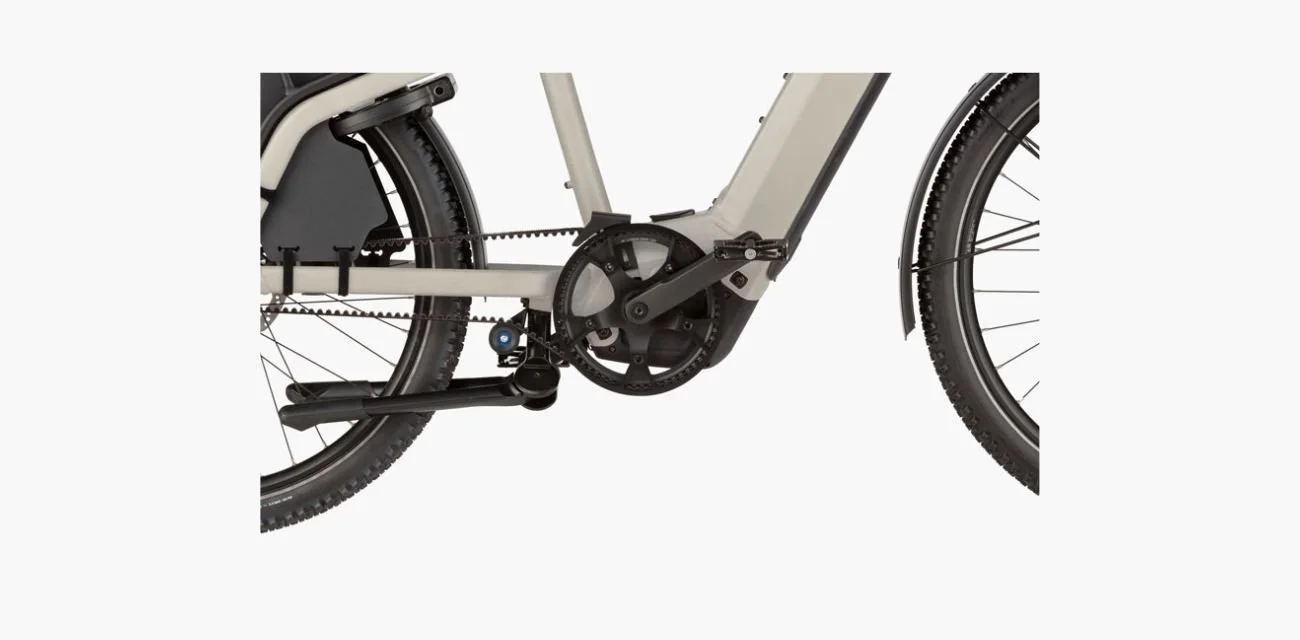 ciclo-ebikes.com_riese_muller_options_multicharger3_doublestand.jpg