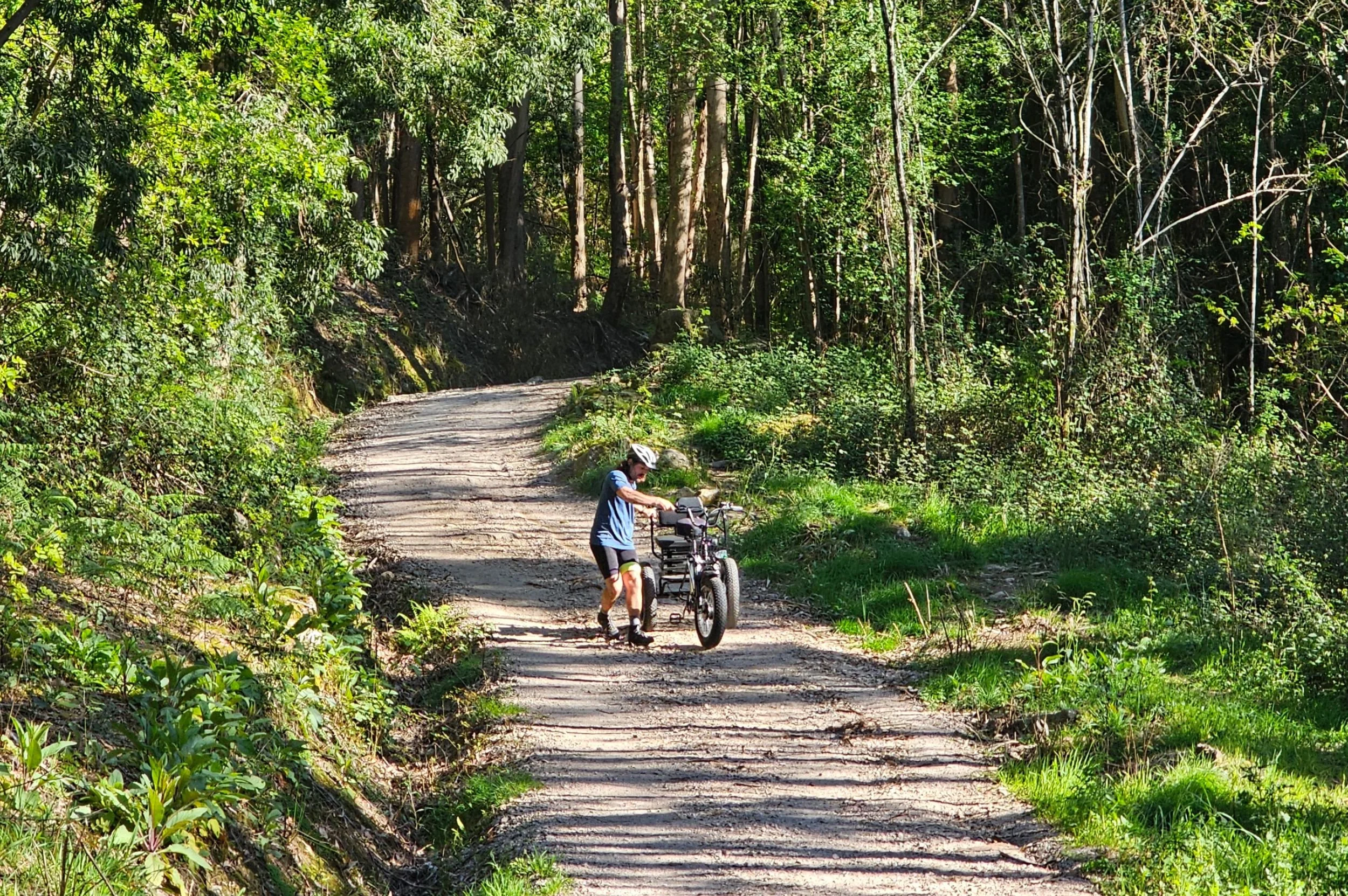 76.jpg