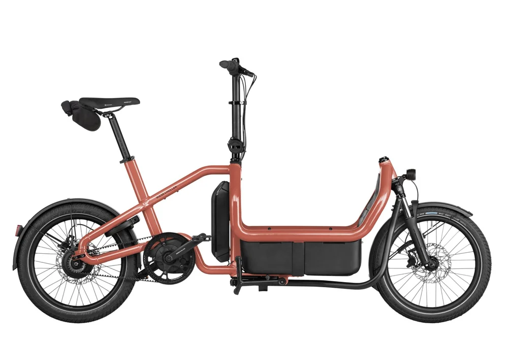 Riese Müller Carrie eCargo Bike — CICLO EBIKES