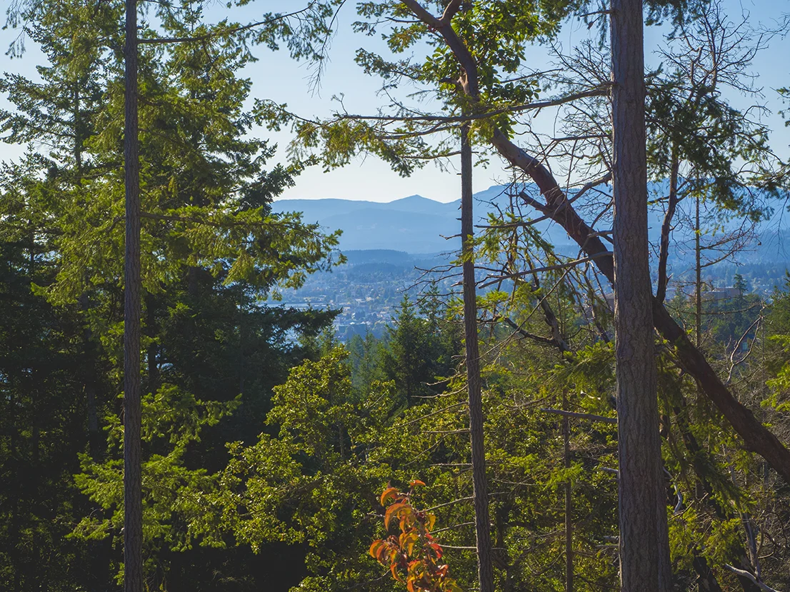 PA020593.jpg