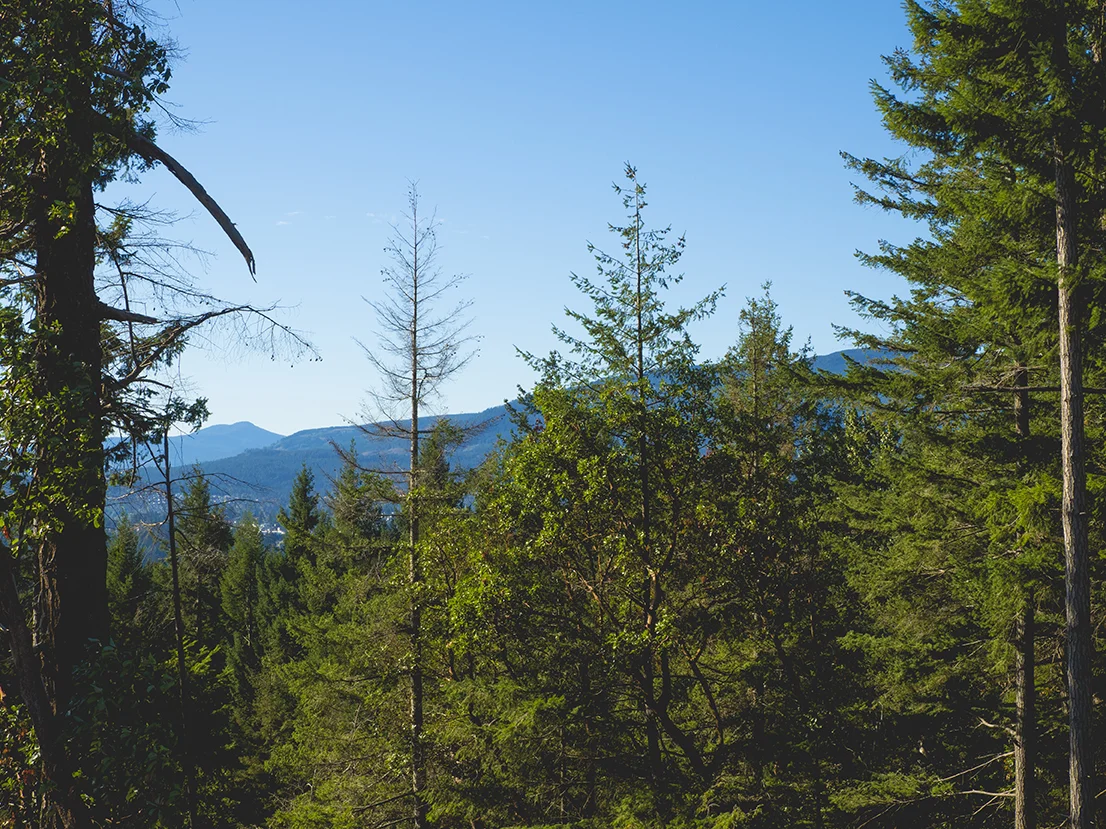 PA020596.jpg