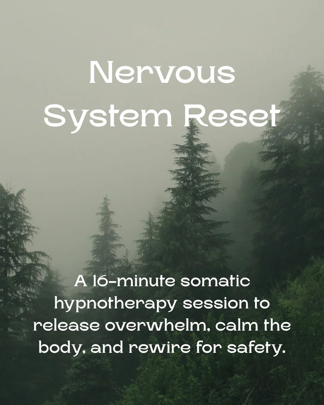 Nervous System Reset Audio Session