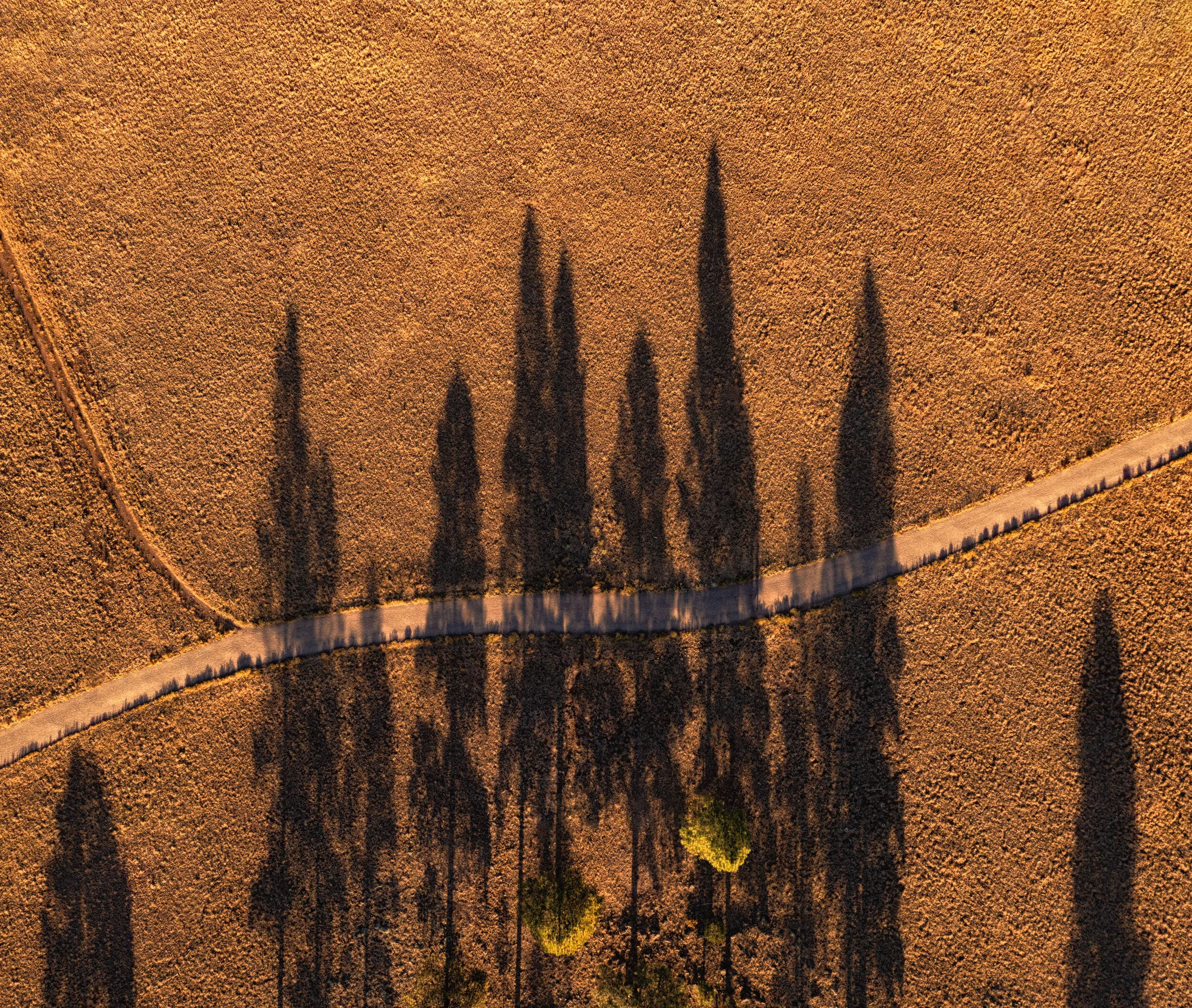 DJI_0421-Edit_resize.jpg