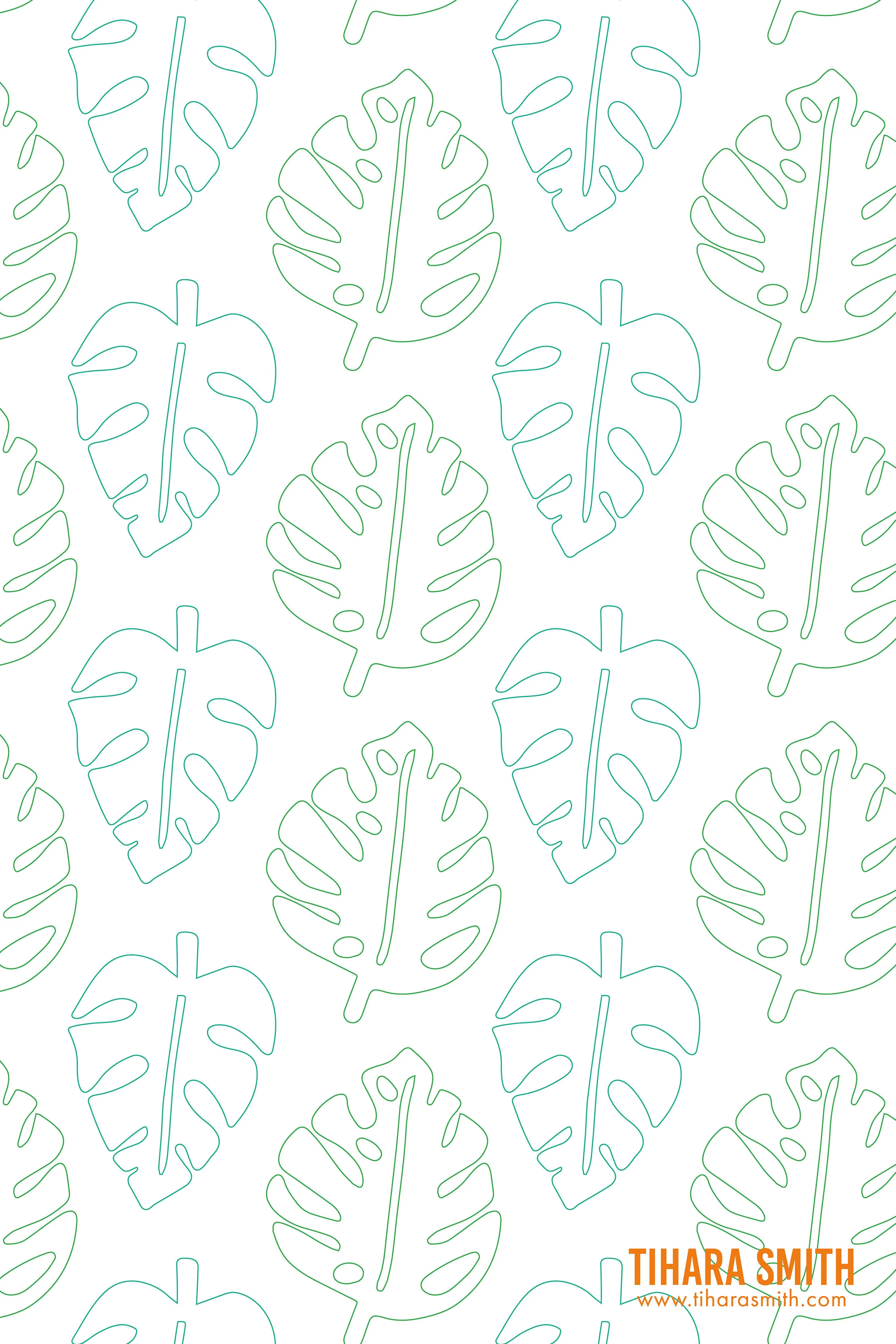 Monstera-4.jpg