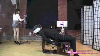 Lola---Cow-Receptacle-Training-2-(Life-in-the-Box)-(720-HD).gif